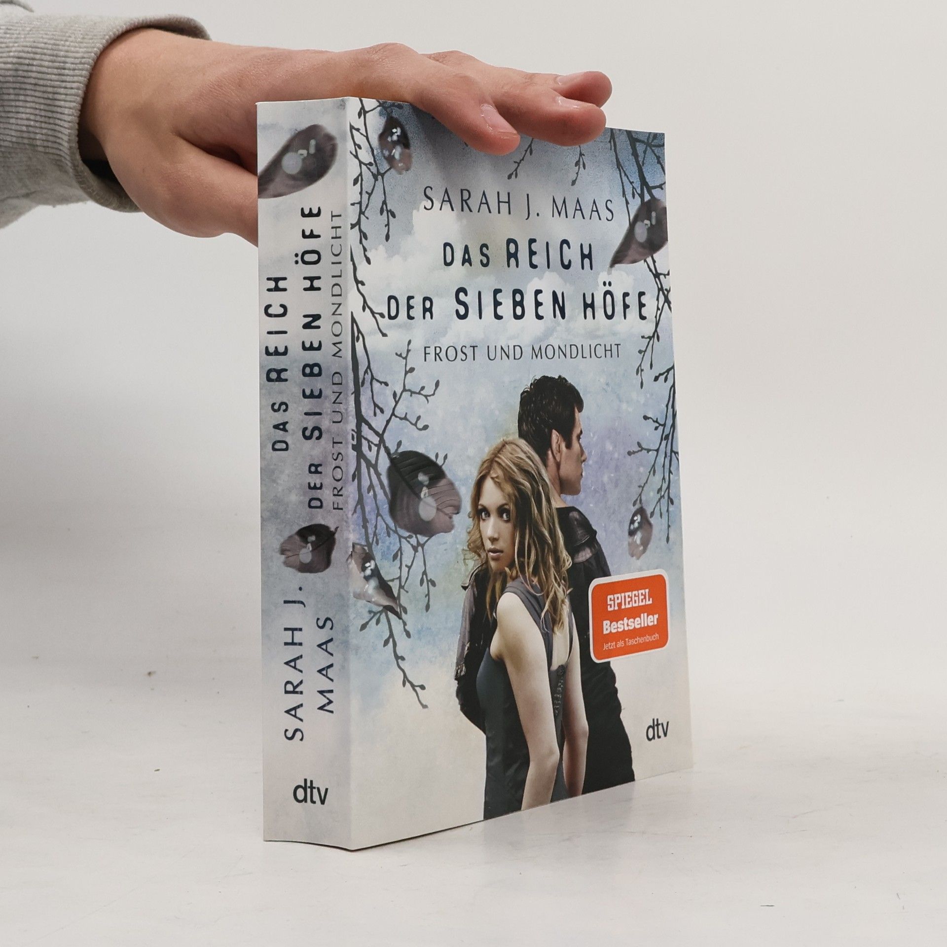 Sarah J. Maas Das Reich der Sieben Höfe: Frost und Mondlicht