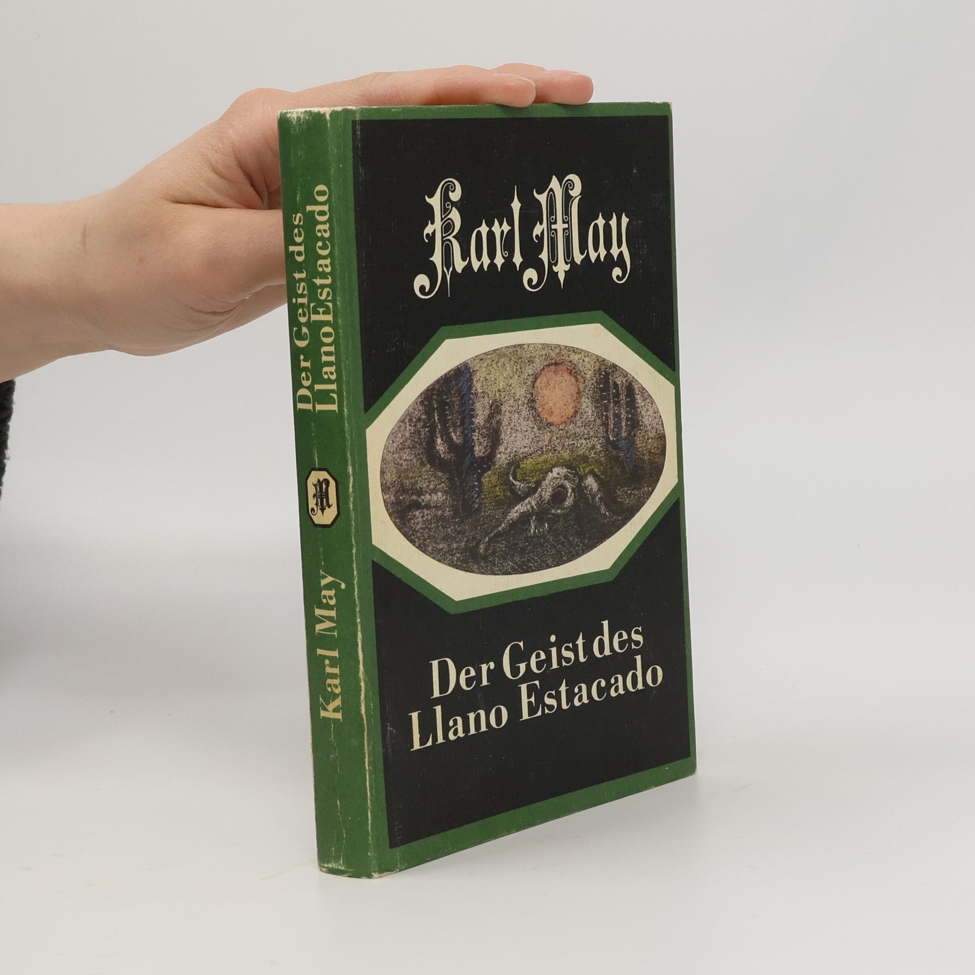 Der Geist des Llano Estacado