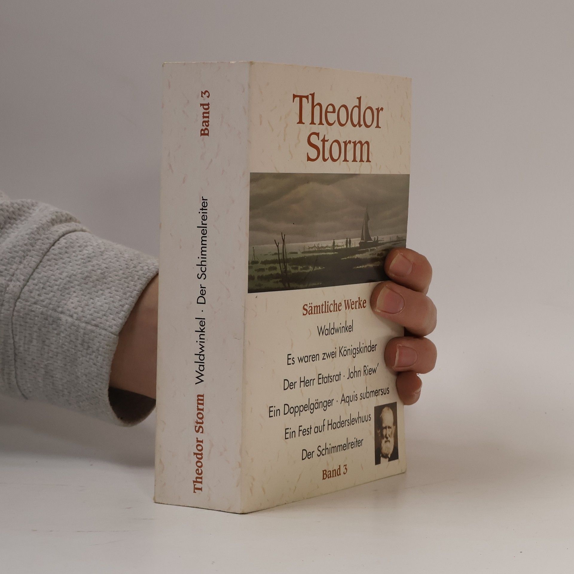 Theodor Storm Waldwinkel. Der Schimmelreiter