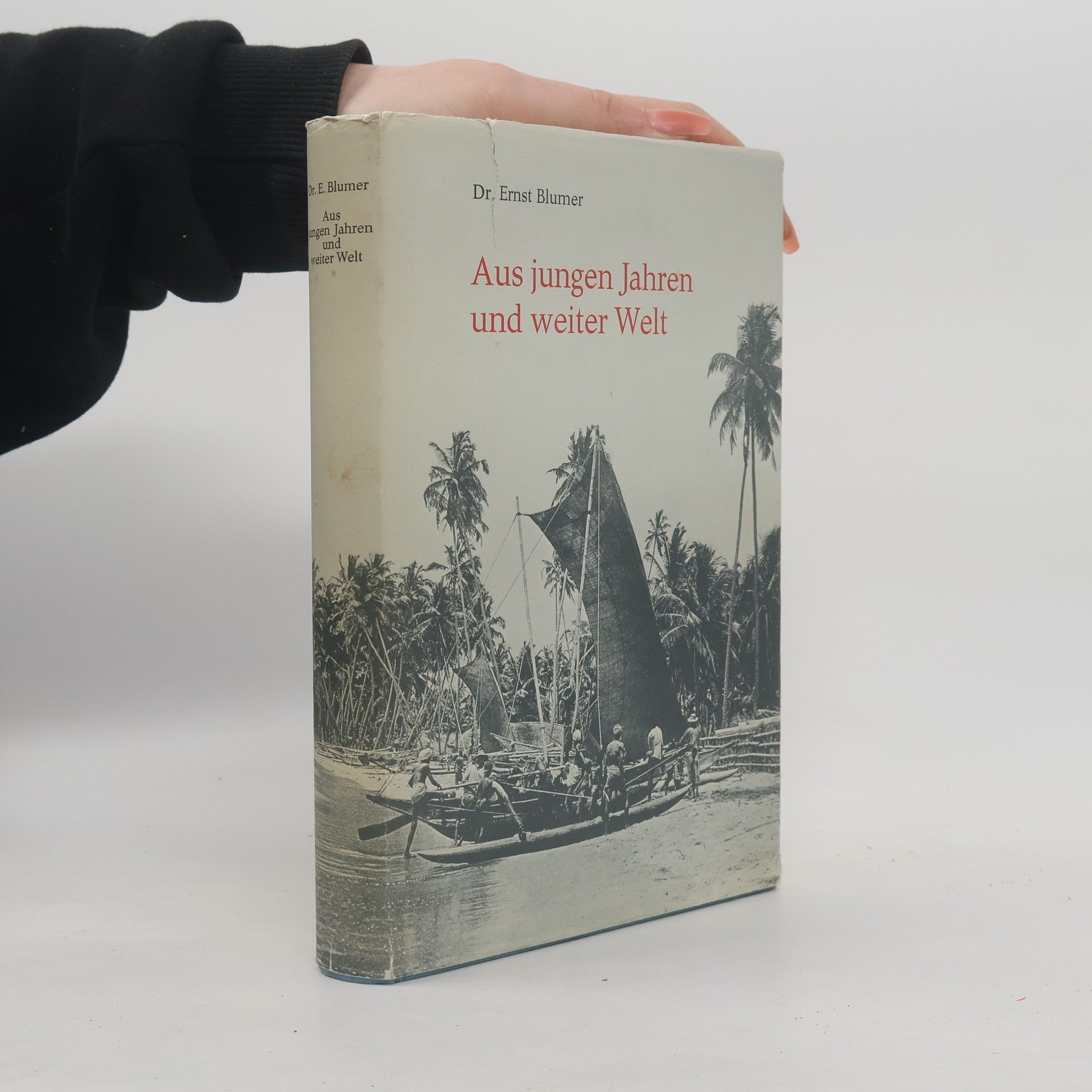Ernst Blumer Aus jungen Jahren und weiter Welt