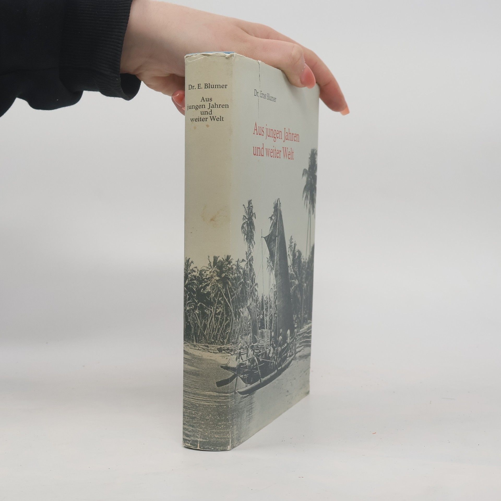 Ernst Blumer Aus jungen Jahren und weiter Welt