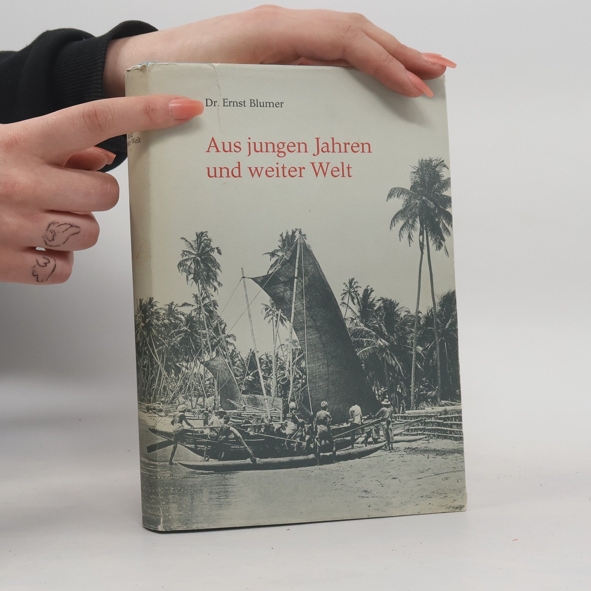 Ernst Blumer Aus jungen Jahren und weiter Welt