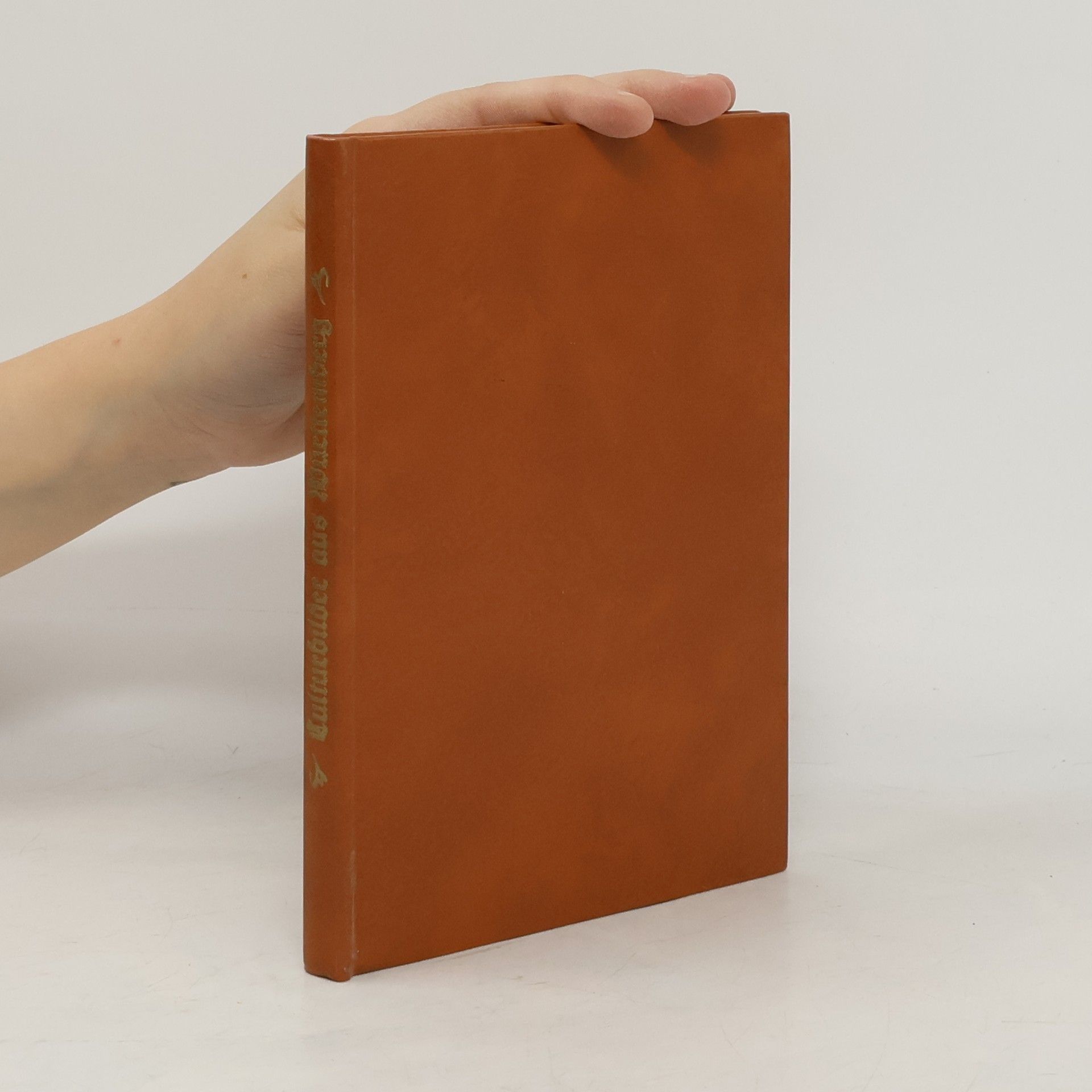 Kolektiv autorů Culturbilder aus Württemberg