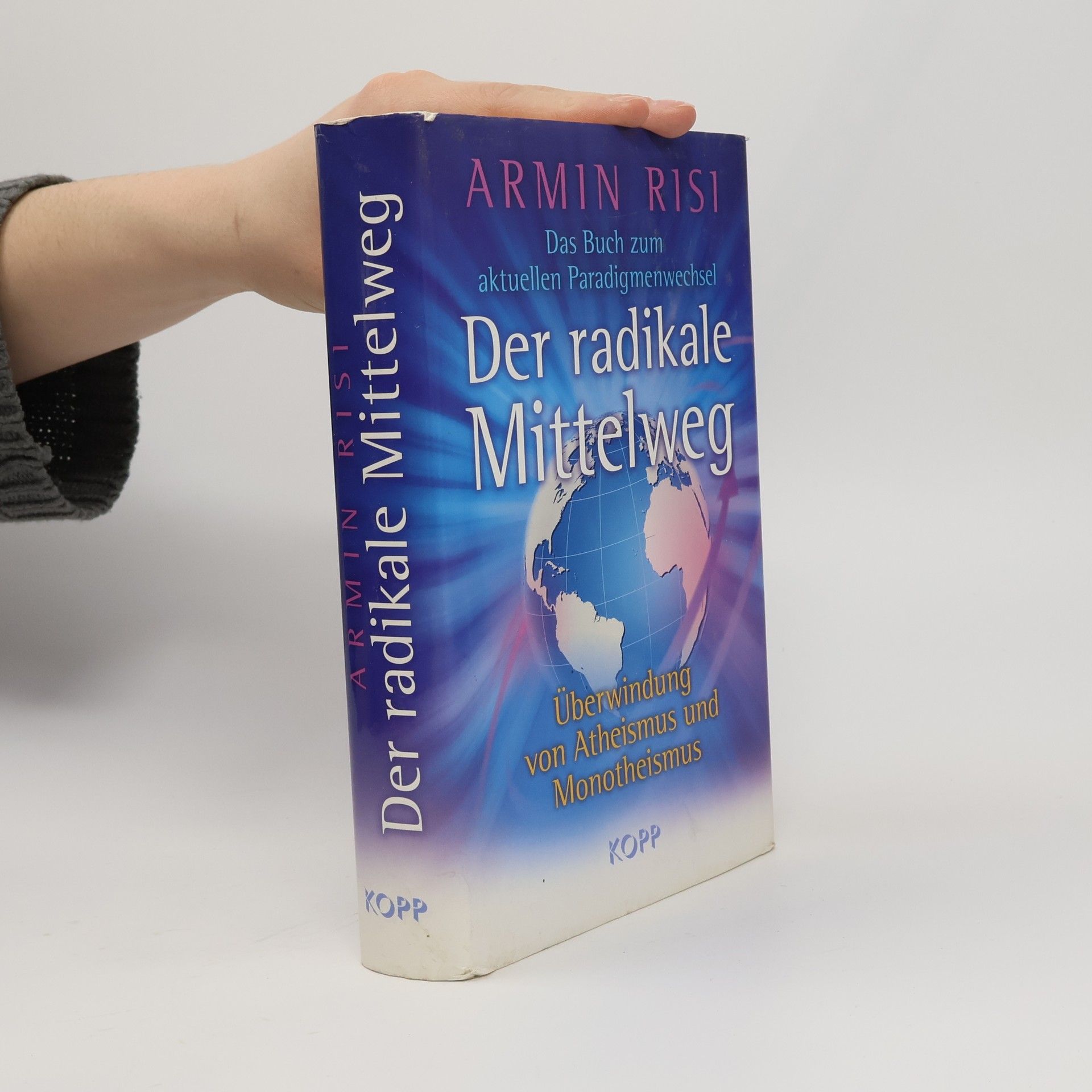 Armin Risi Der radikale Mittelweg