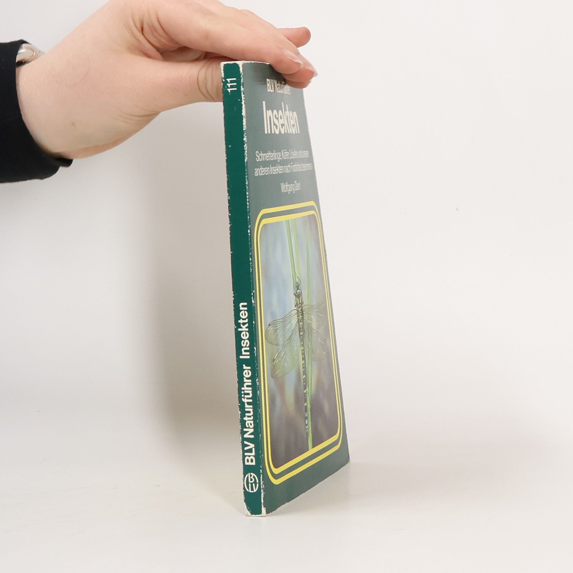 Wolfgang Dierl Insekten