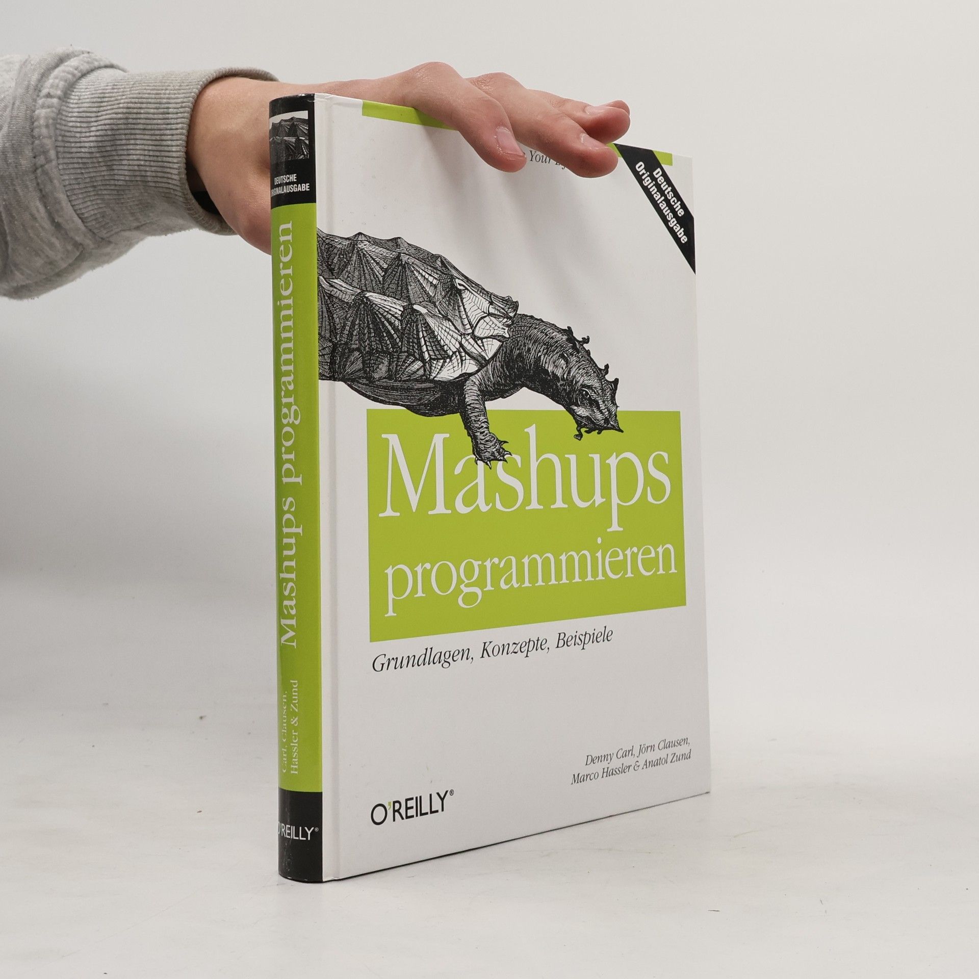 Denny Carl Mashups programmieren