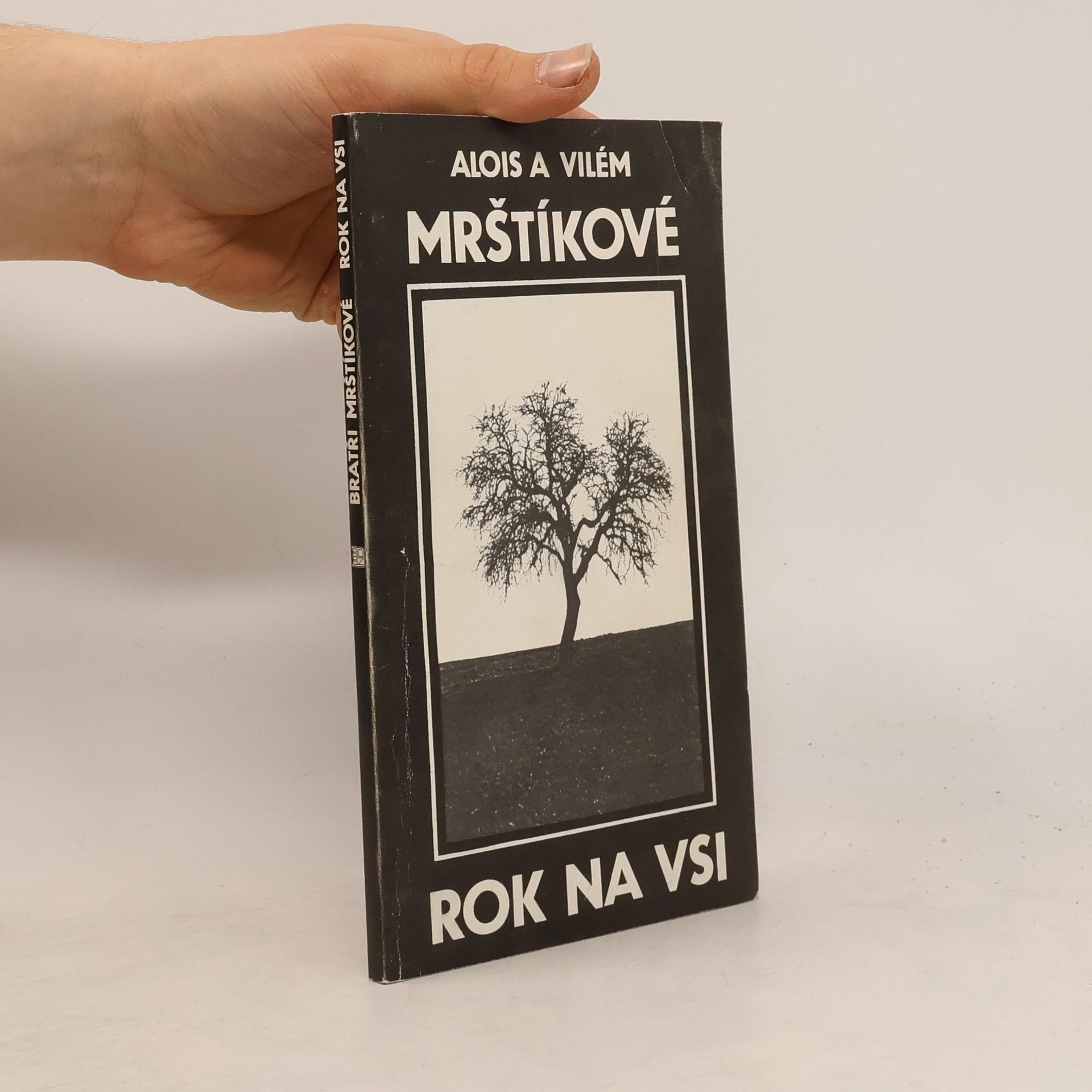 Alois Mrštík Rok na vsi