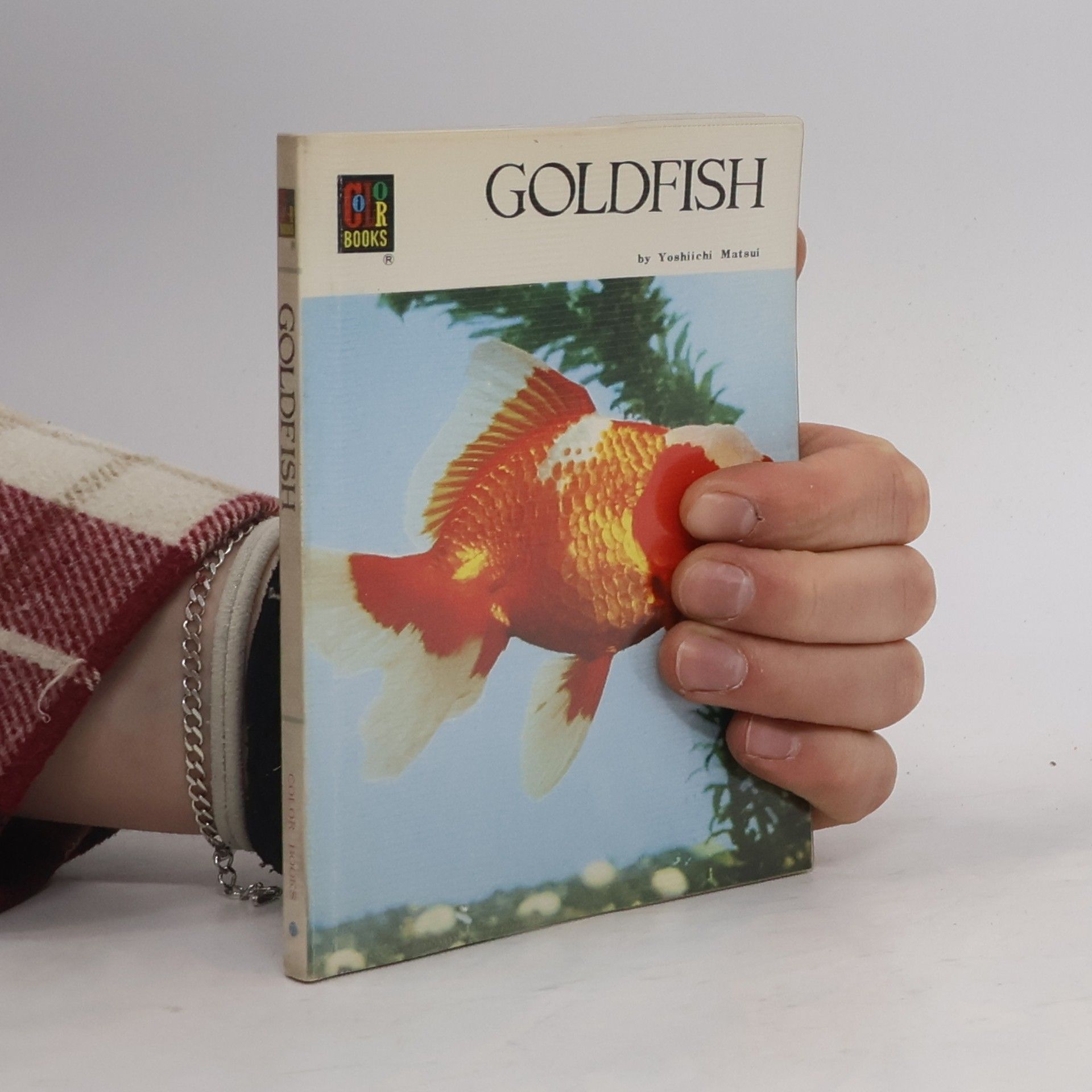 Yoshiichi Matsui Goldfish