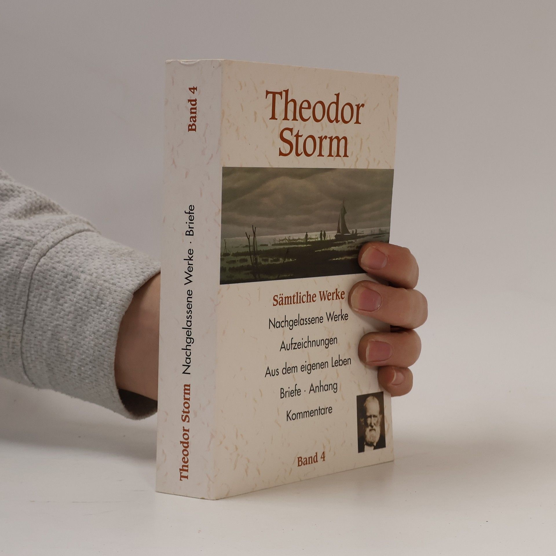 Theodor Storm Nachgelassene Werke. Briefe