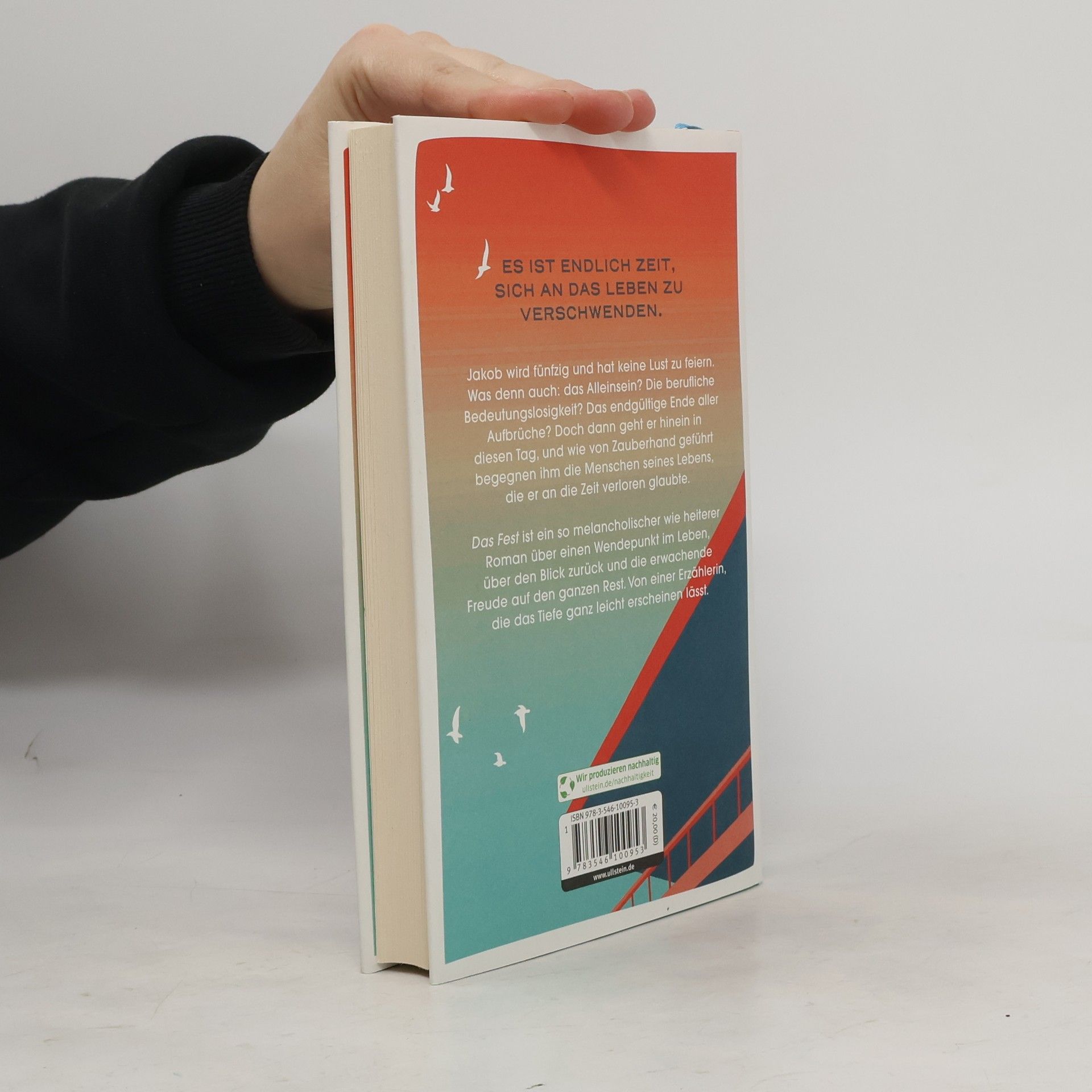 Lucy Fricke Das Fest. Roman | Das neue Buch der Bestsellerautorin | Über die Lebenskrise, die uns der 50. Geburtstag schenkt