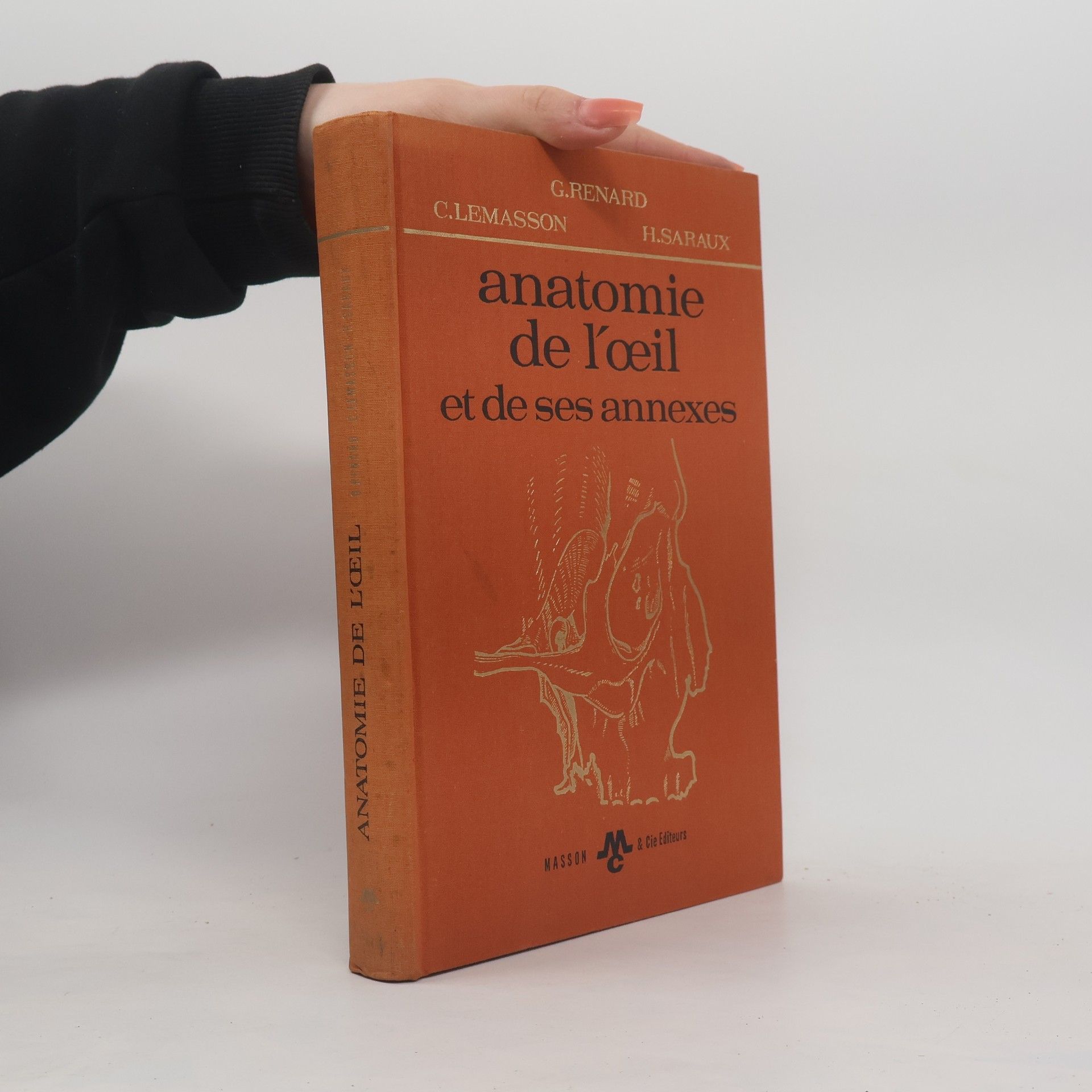 Autorenkollektiv Anatomie de l'œil et de ses annexes