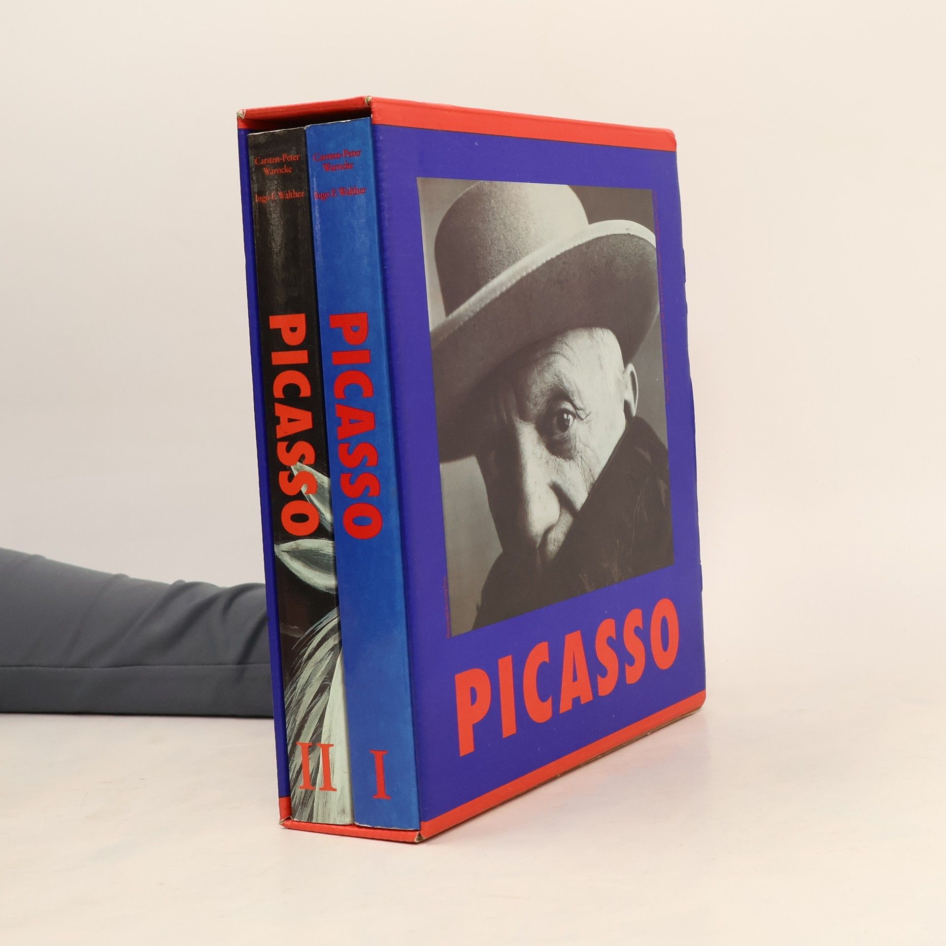 Pablo Picasso Pablo Picasso I. a II. (2 svazky, box)