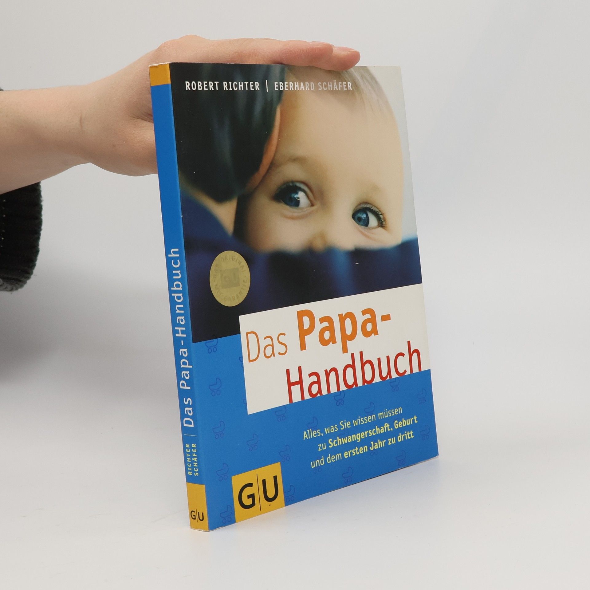 Robert Richter Das Papa-Handbuch