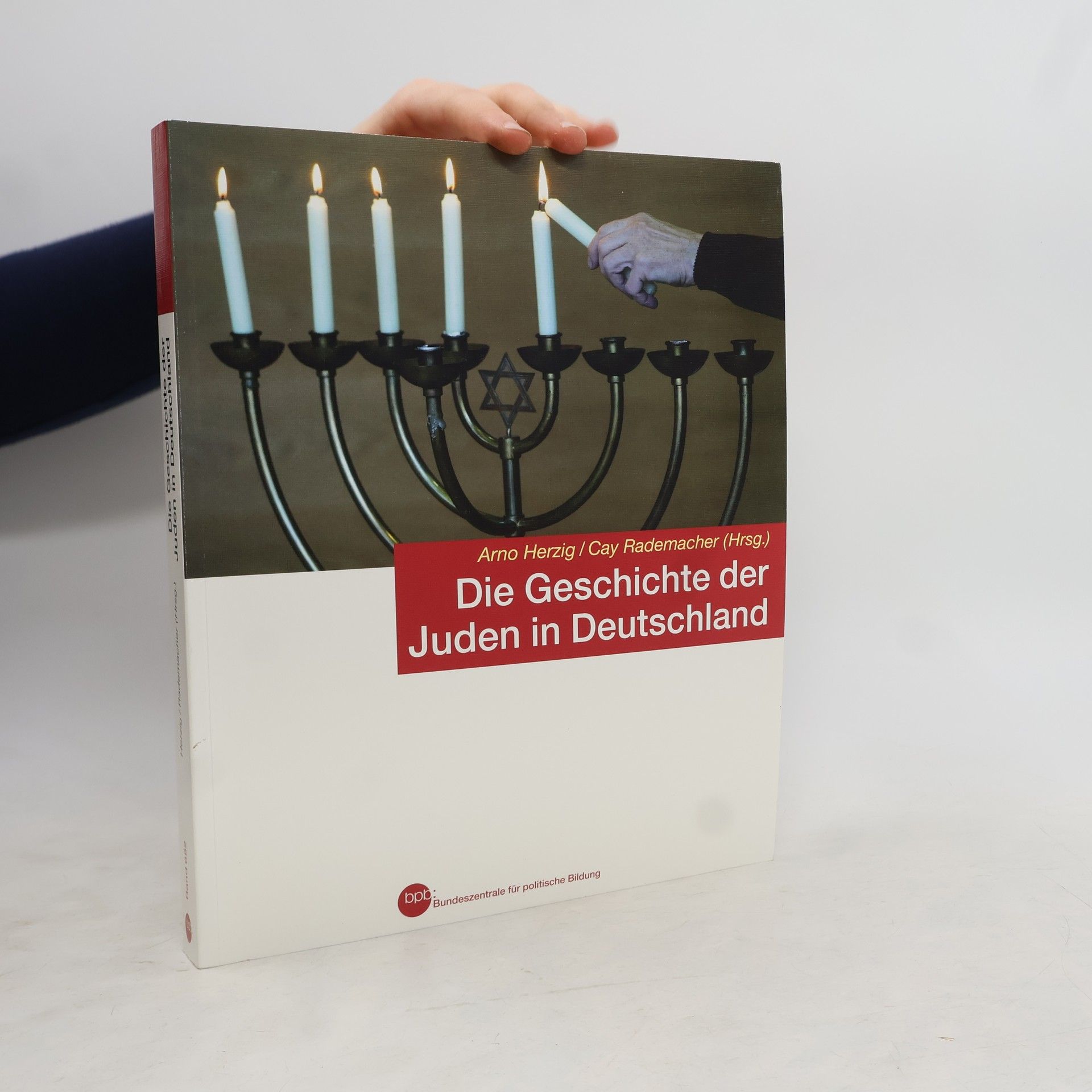 Arno Herzig Die Geschichte der Juden in Deutschland