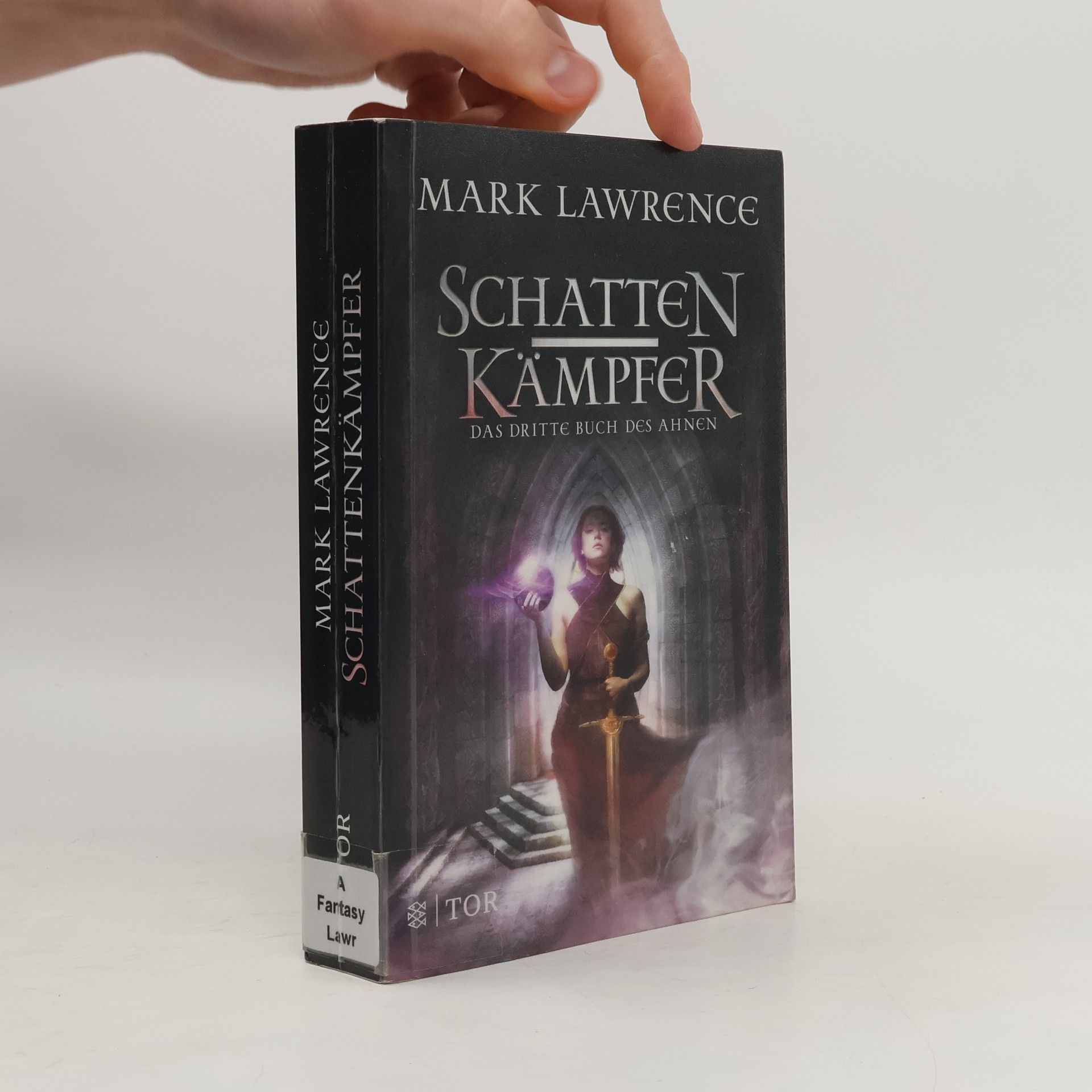 Mark Lawrence Schattenkämpfer