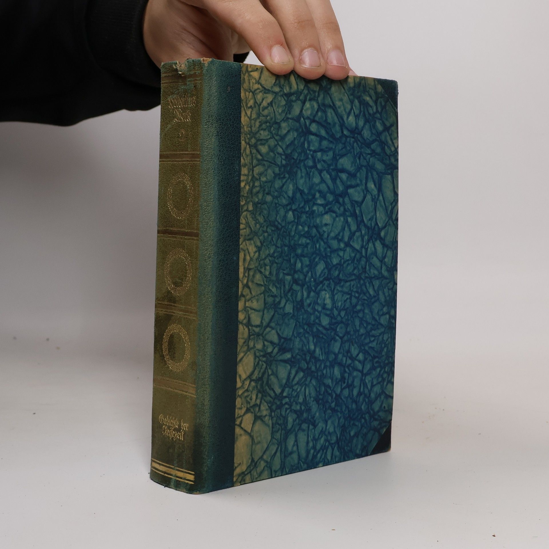 Friedrich Hoelderlin Gedichte der Reifezeit