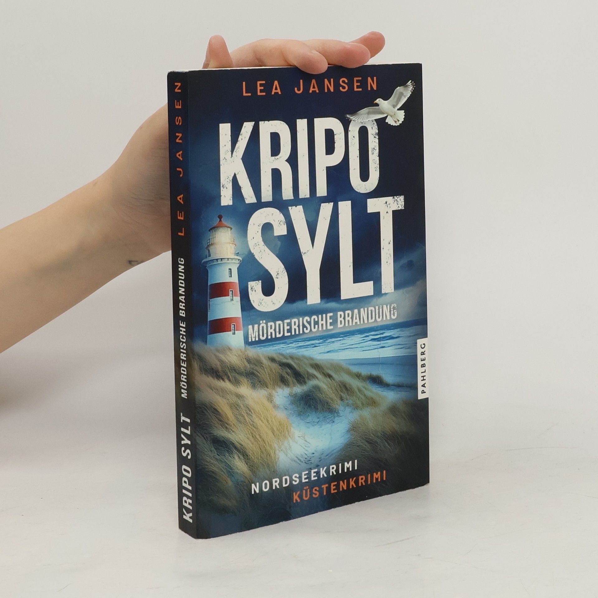 Lea Jansen Kripo Sylt - Mörderische Brandung