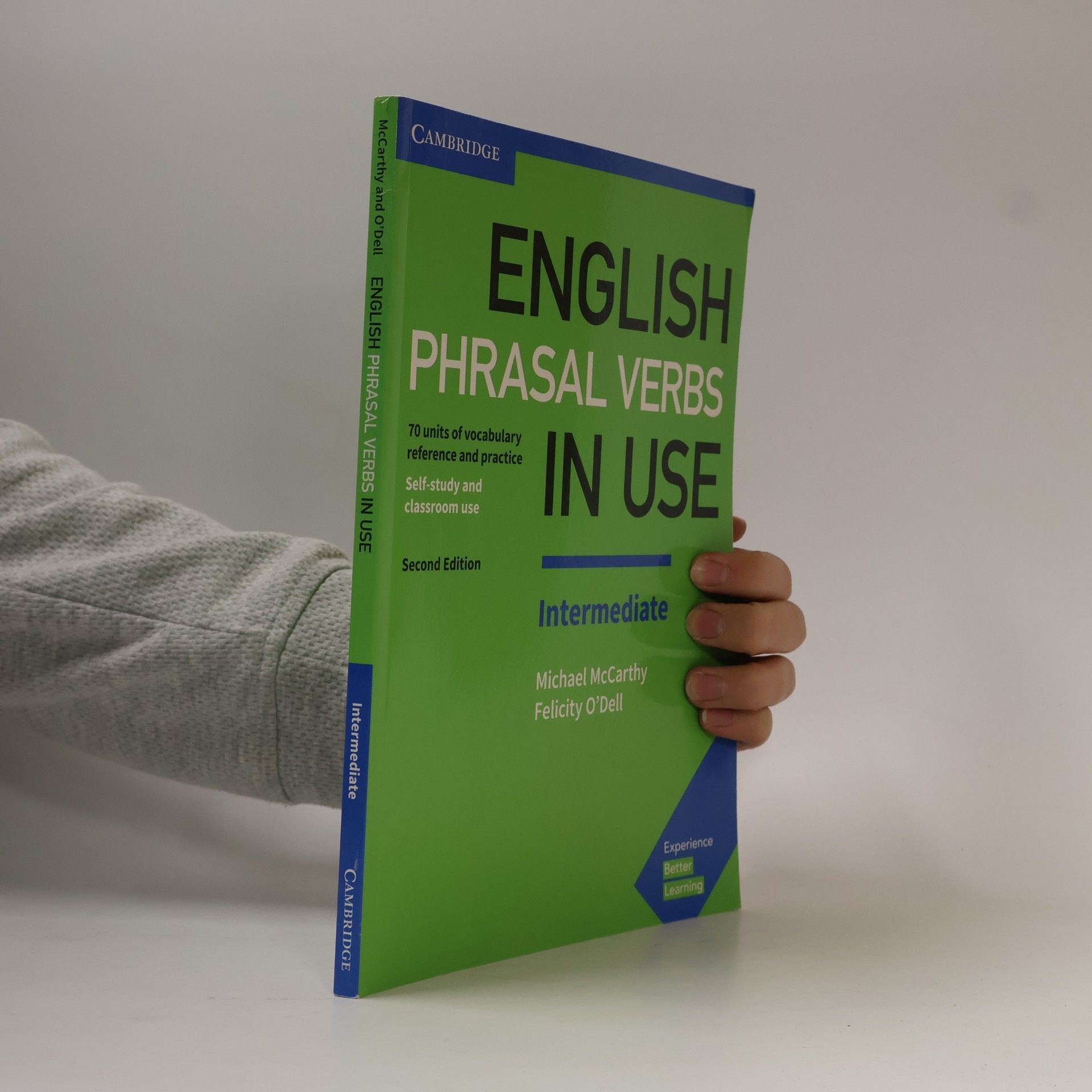 Michael Mc Carthy English Phrasal Verbs in Use Intermediate