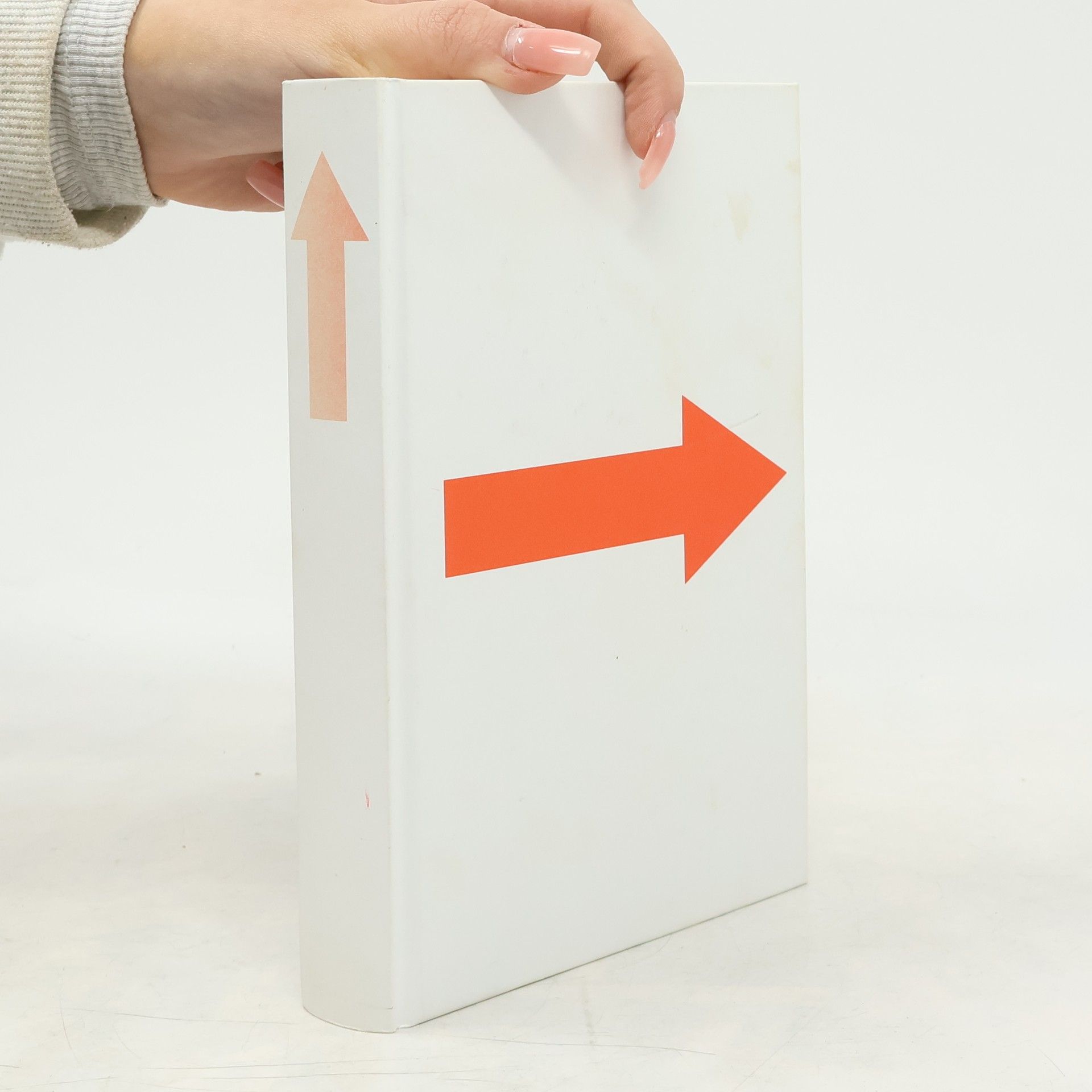 Michal Viewegh Další báječný rok