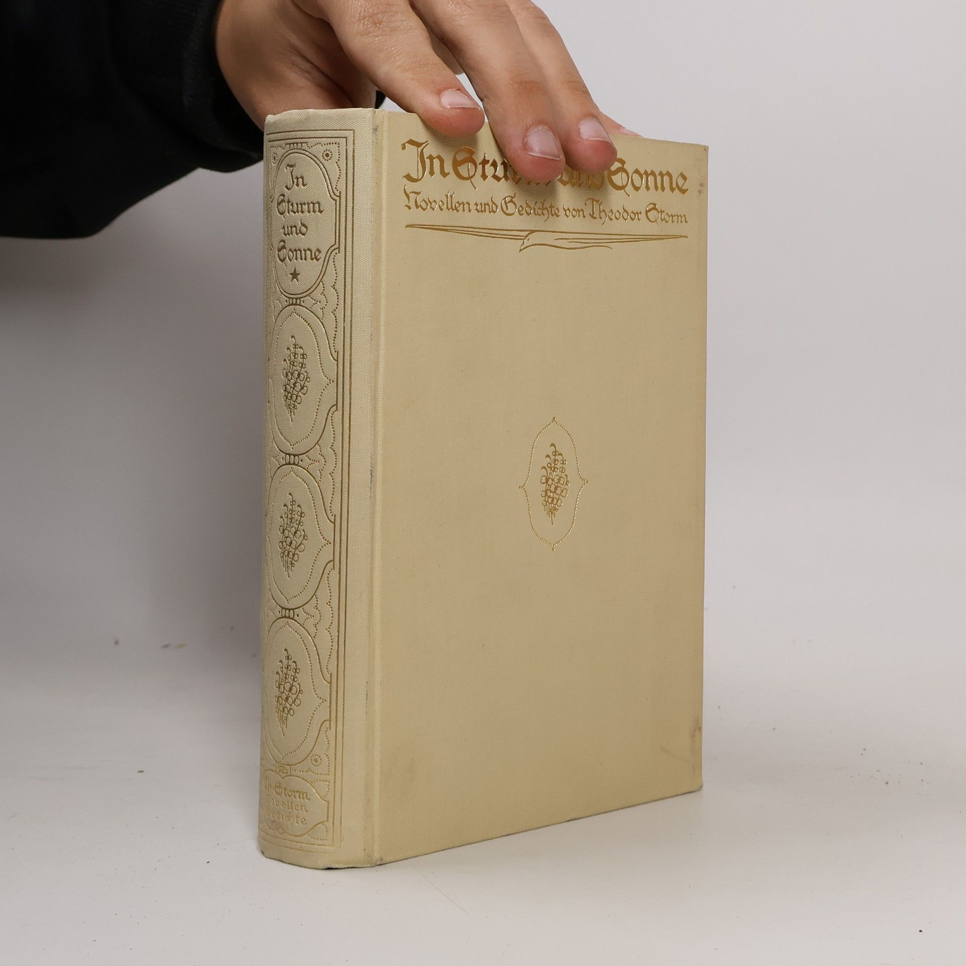 Hans Theodor Woldsen Storm In Sturm und Sonne