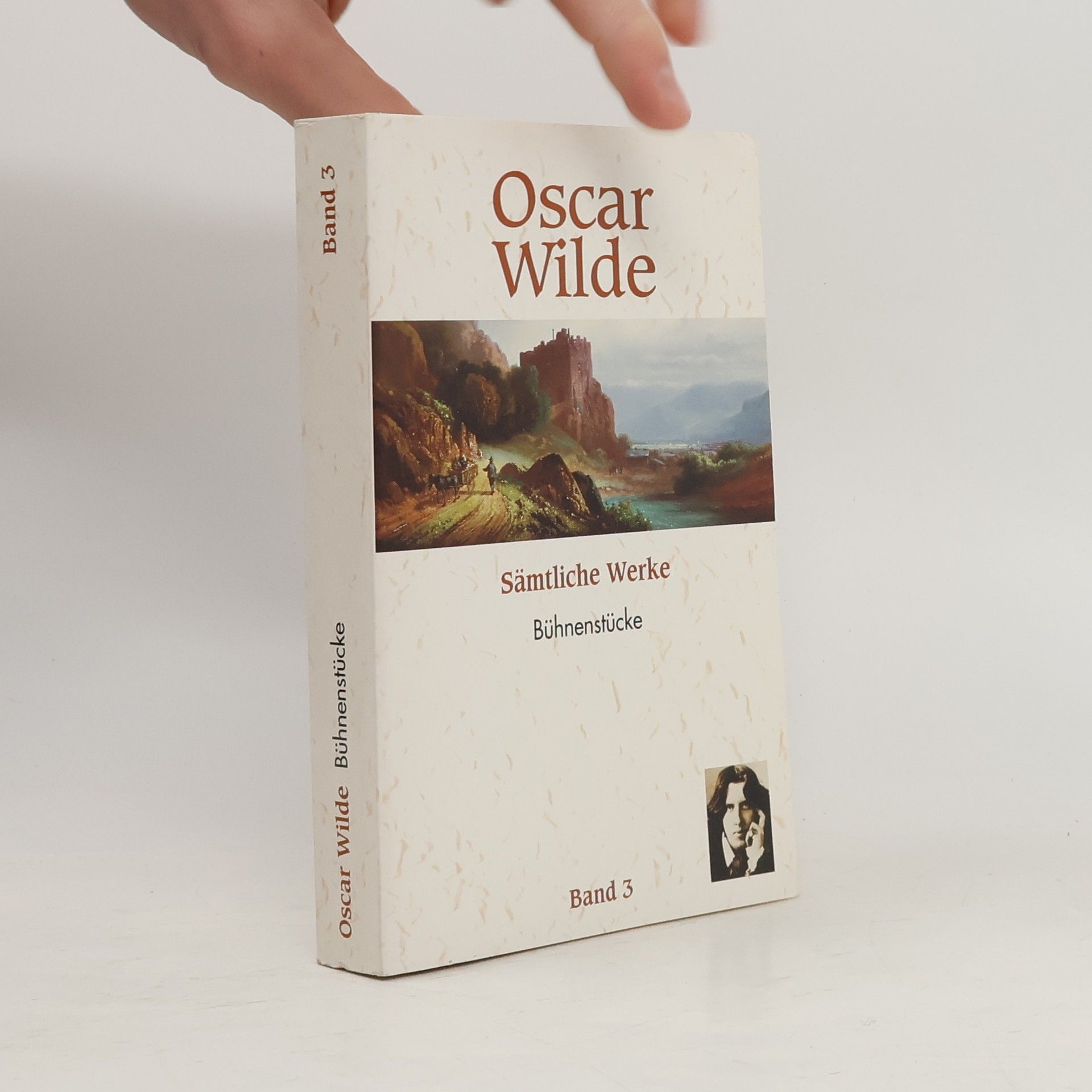 Oscar Wilde Sämtliche Werke 3
