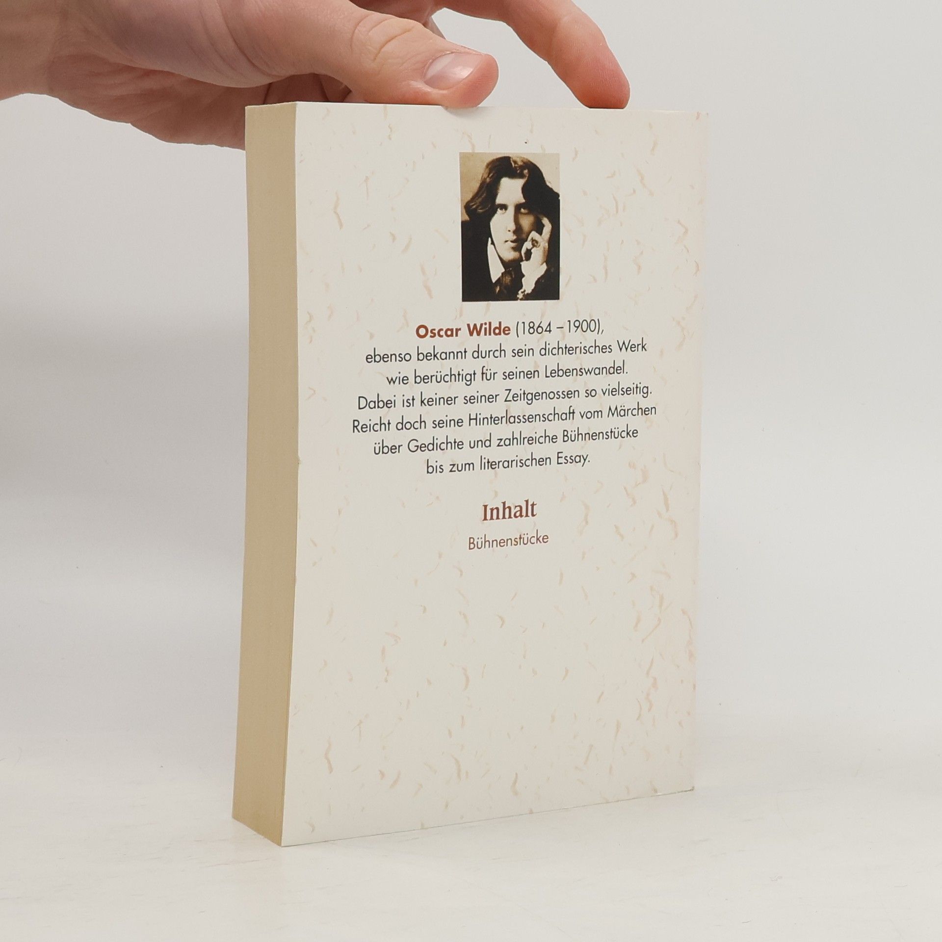 Oscar Wilde Sämtliche Werke 3