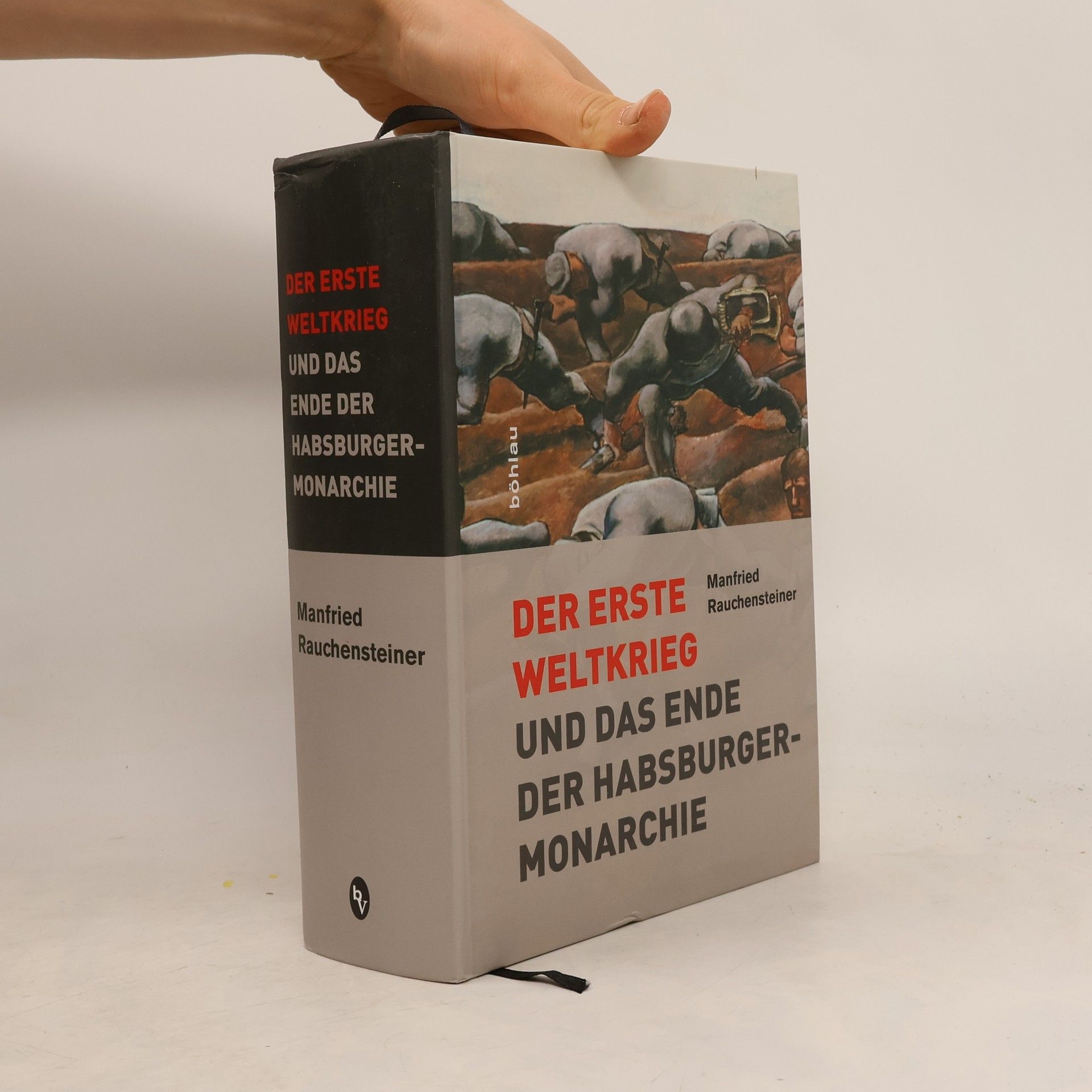 Der Erste Weltkrieg und das Ende der Habsburgermonarchie 1914 - 1918