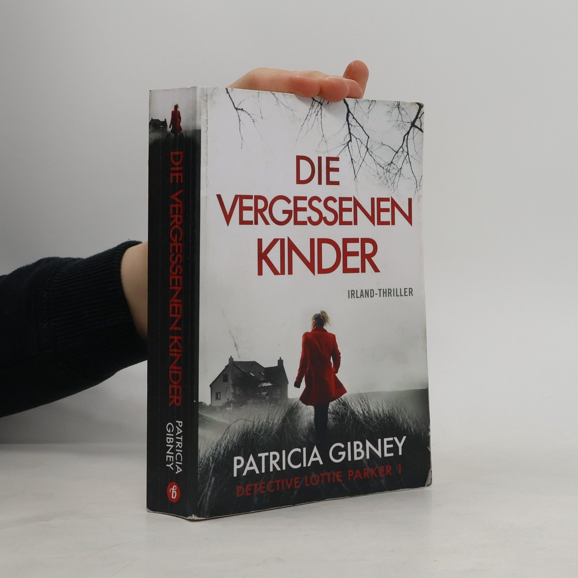 Patricia Gibney Die vergessenen Kinder