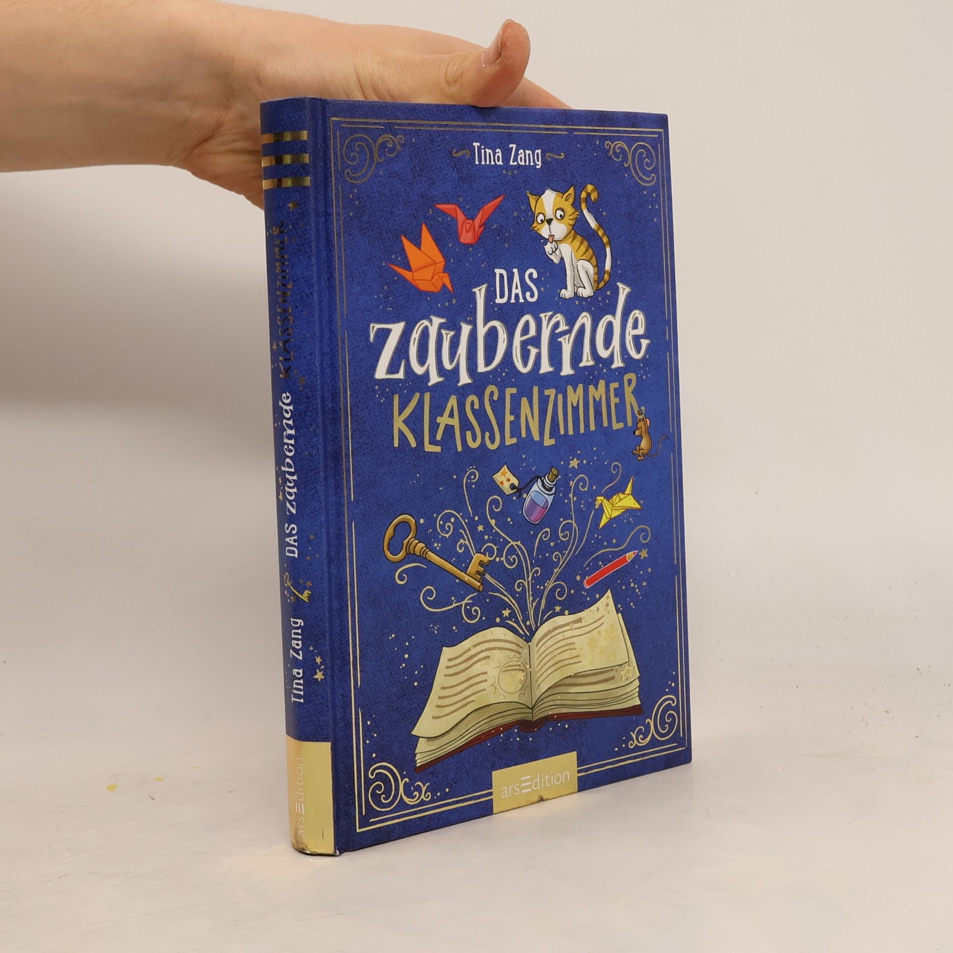 Tina Zang Das zaubernde Klassenzimmer (Das zaubernde Klassenzimmer 1)