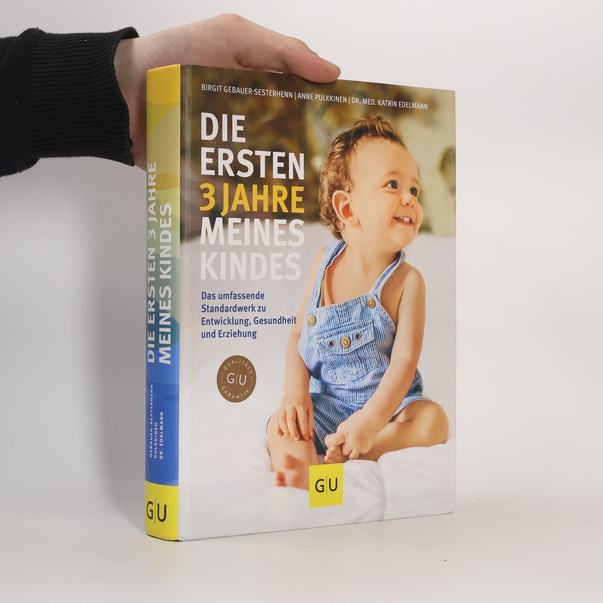 Birgit Gebauer-Sesterhenn Die ersten 3 Jahre meines Kindes