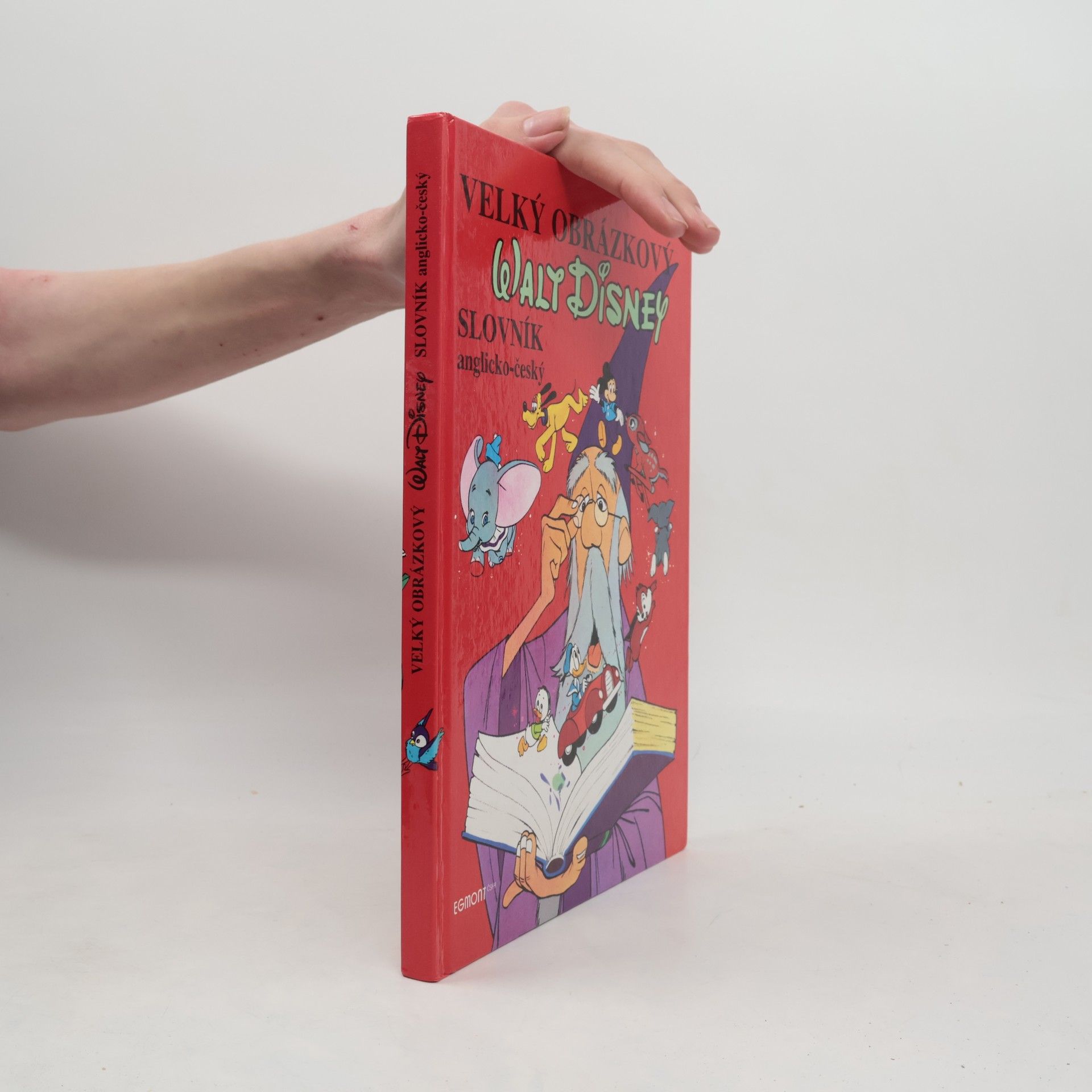 Walt Disney Velký obrázkový slovník anglicko-český