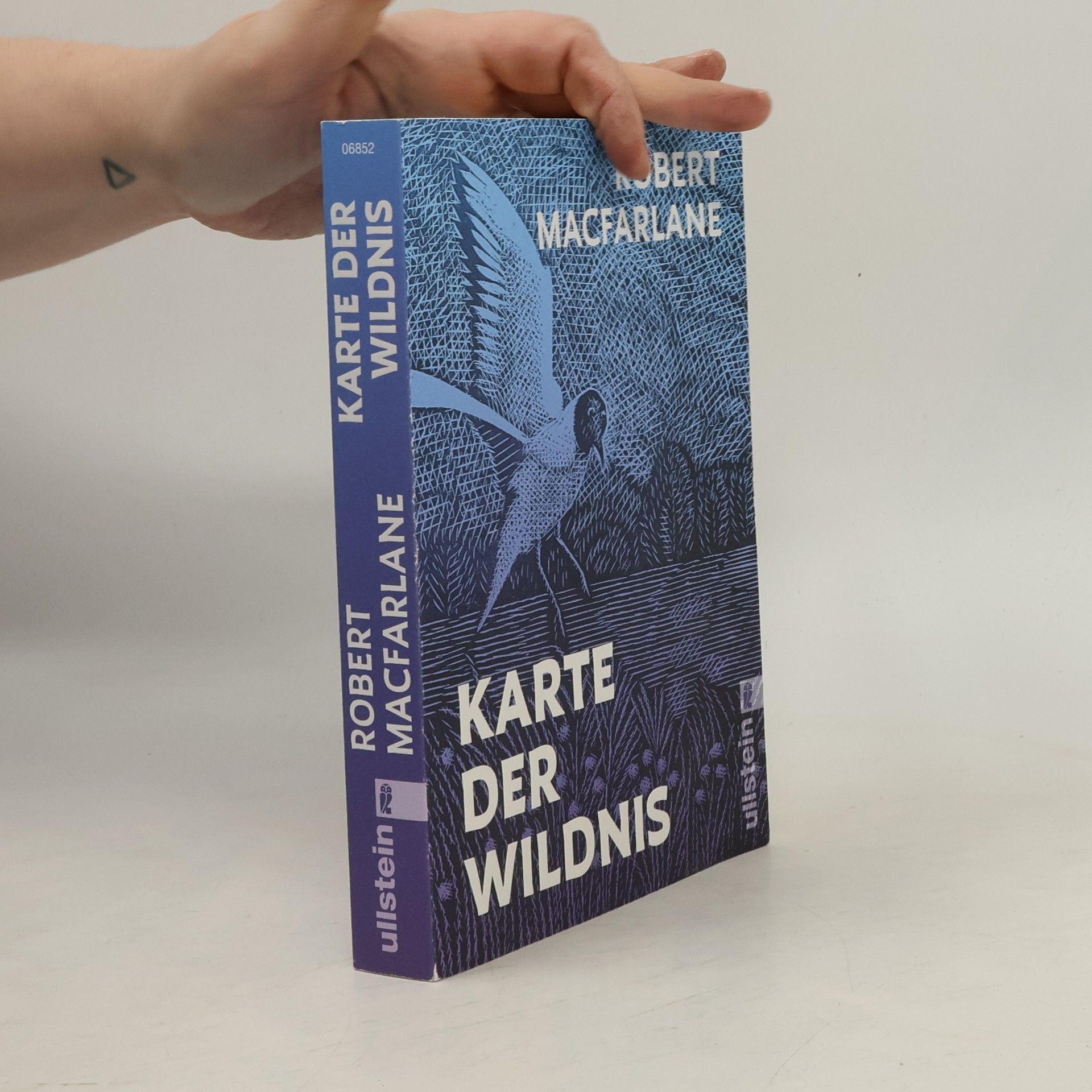 Robert McFarlane Karte der Wildnis