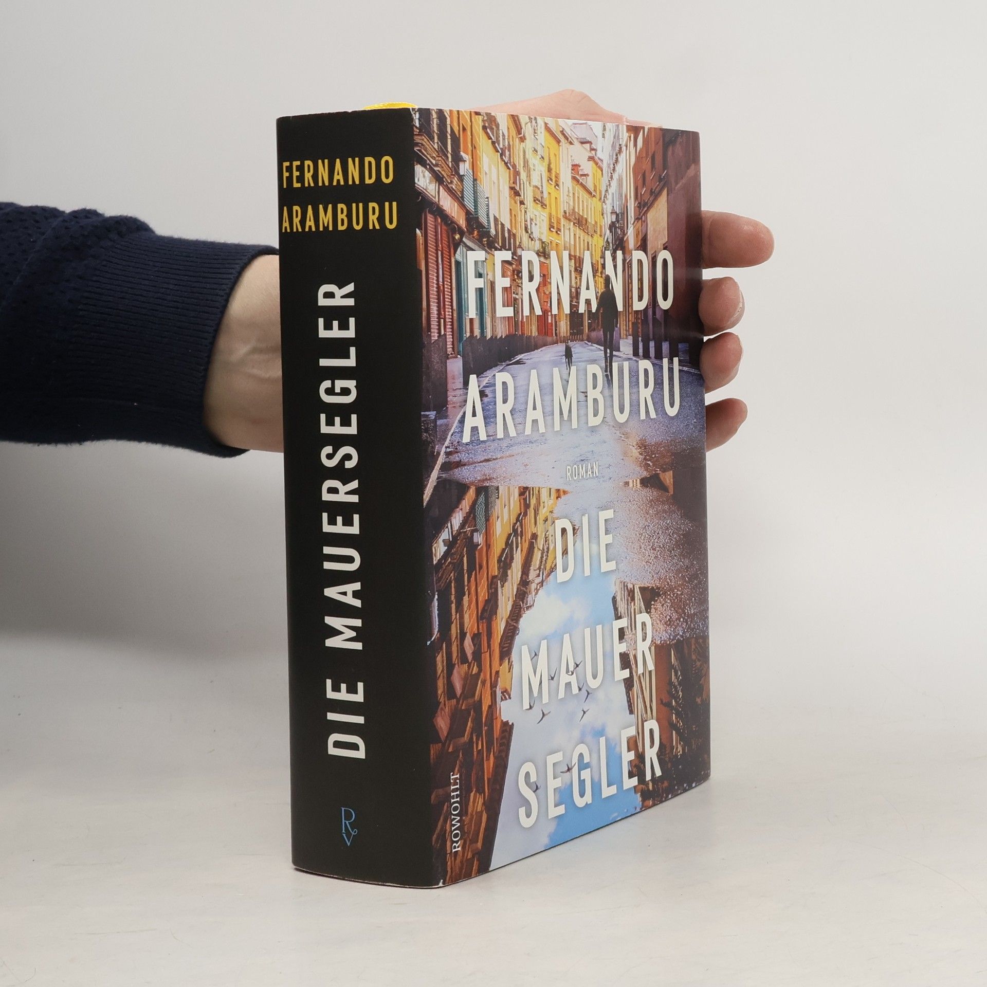 Fernando Aramburu Die Mauersegler