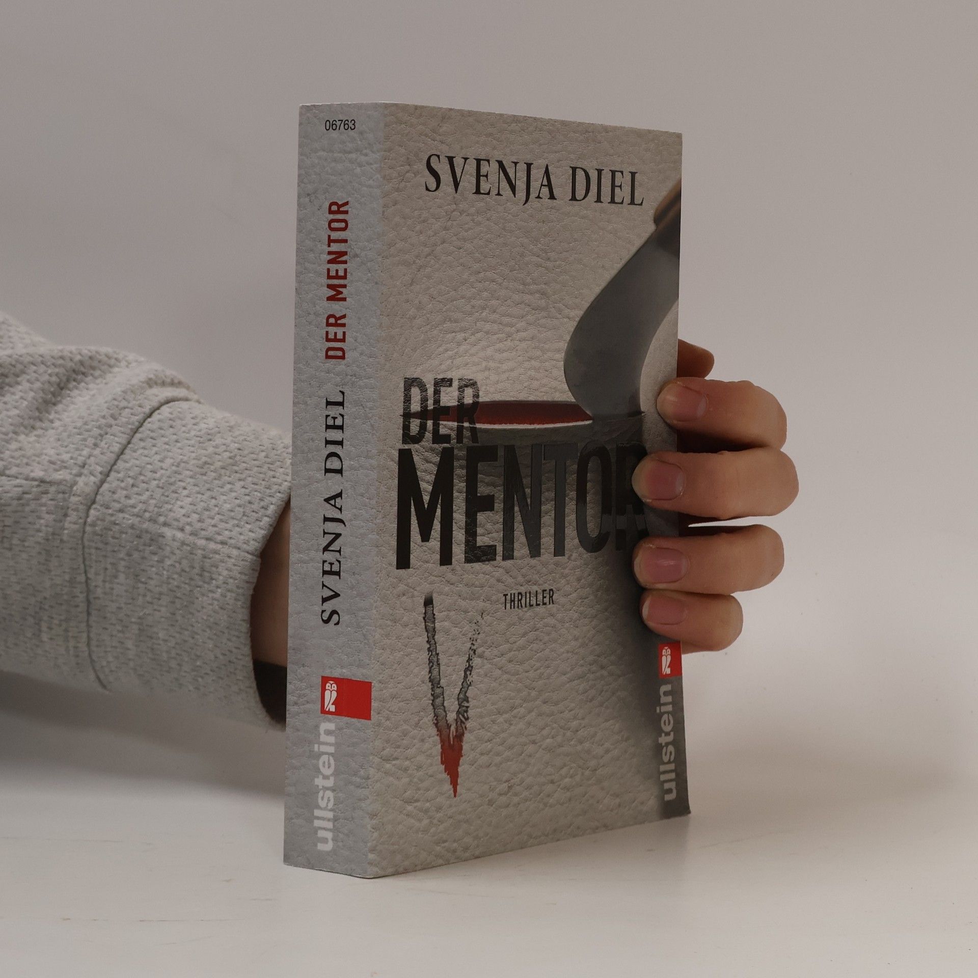 Svenja Diel Der Mentor