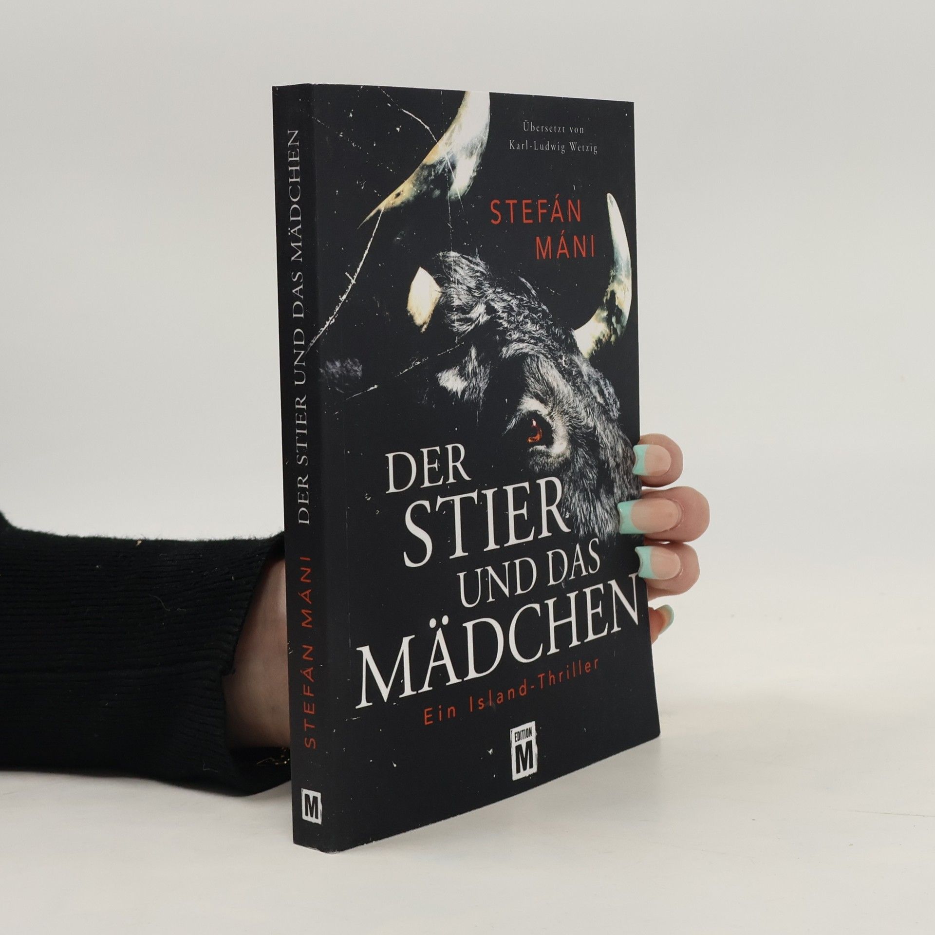 Stefán Máni Der Stier und das Mädchen