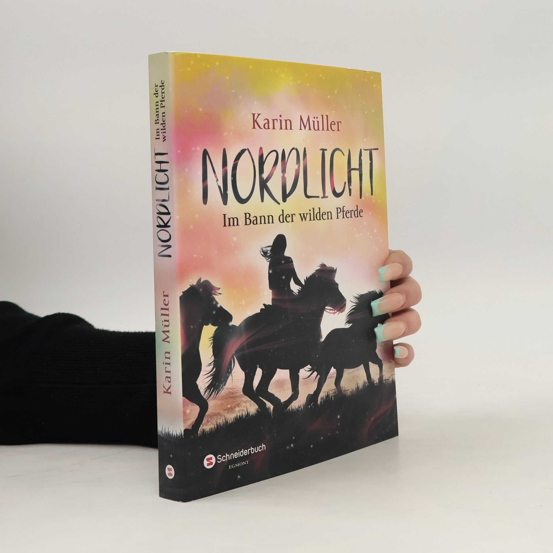 Karin Elke Im Bann der wilden Pferde