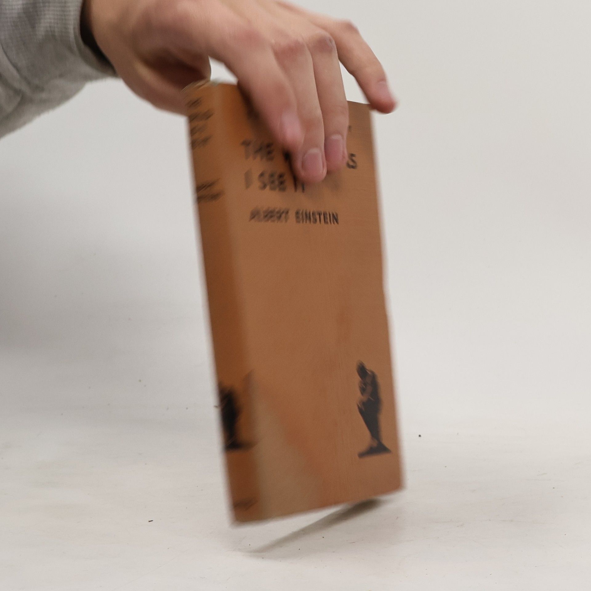 The World as I See it