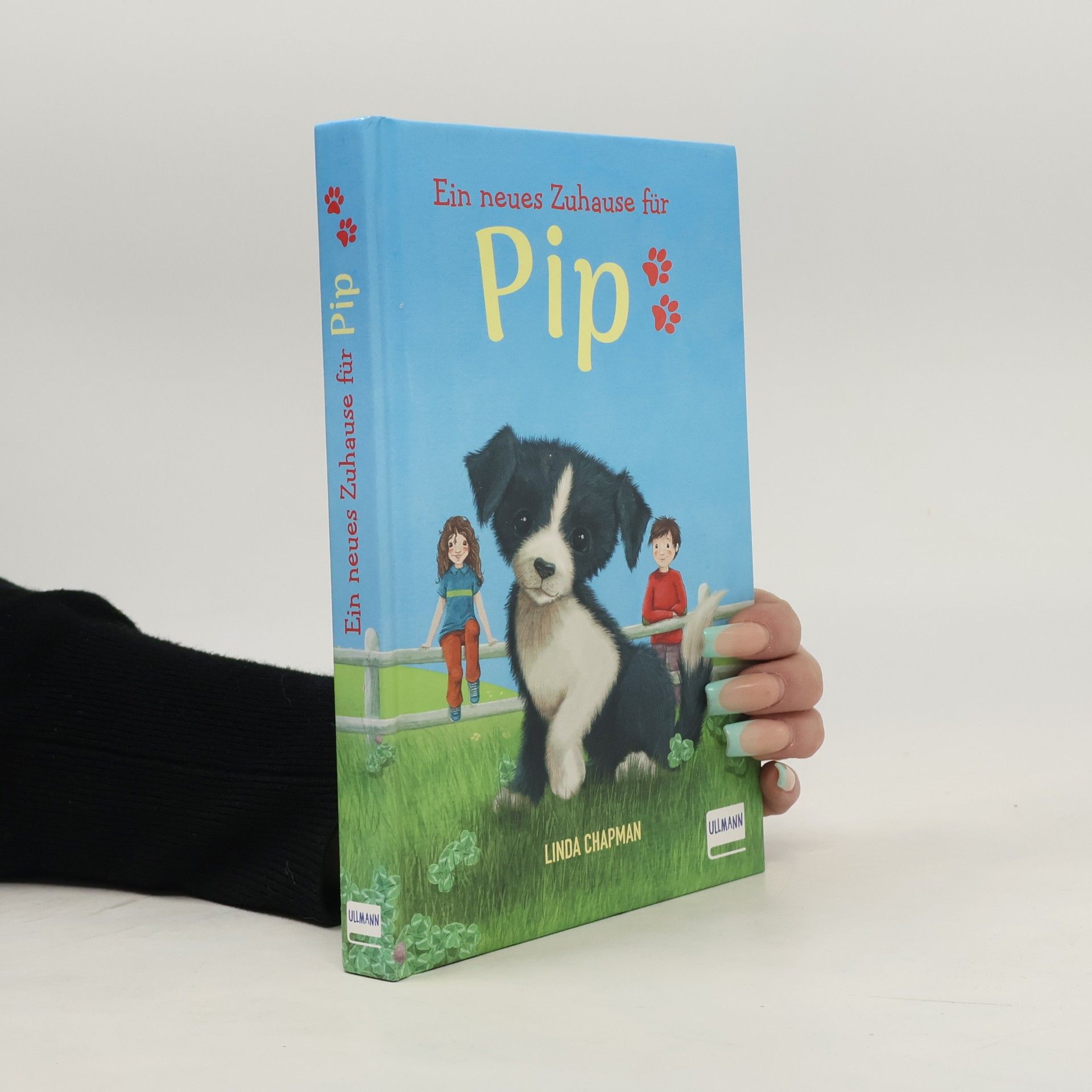 Linda Chapman Ein neues Zuhause für Pip