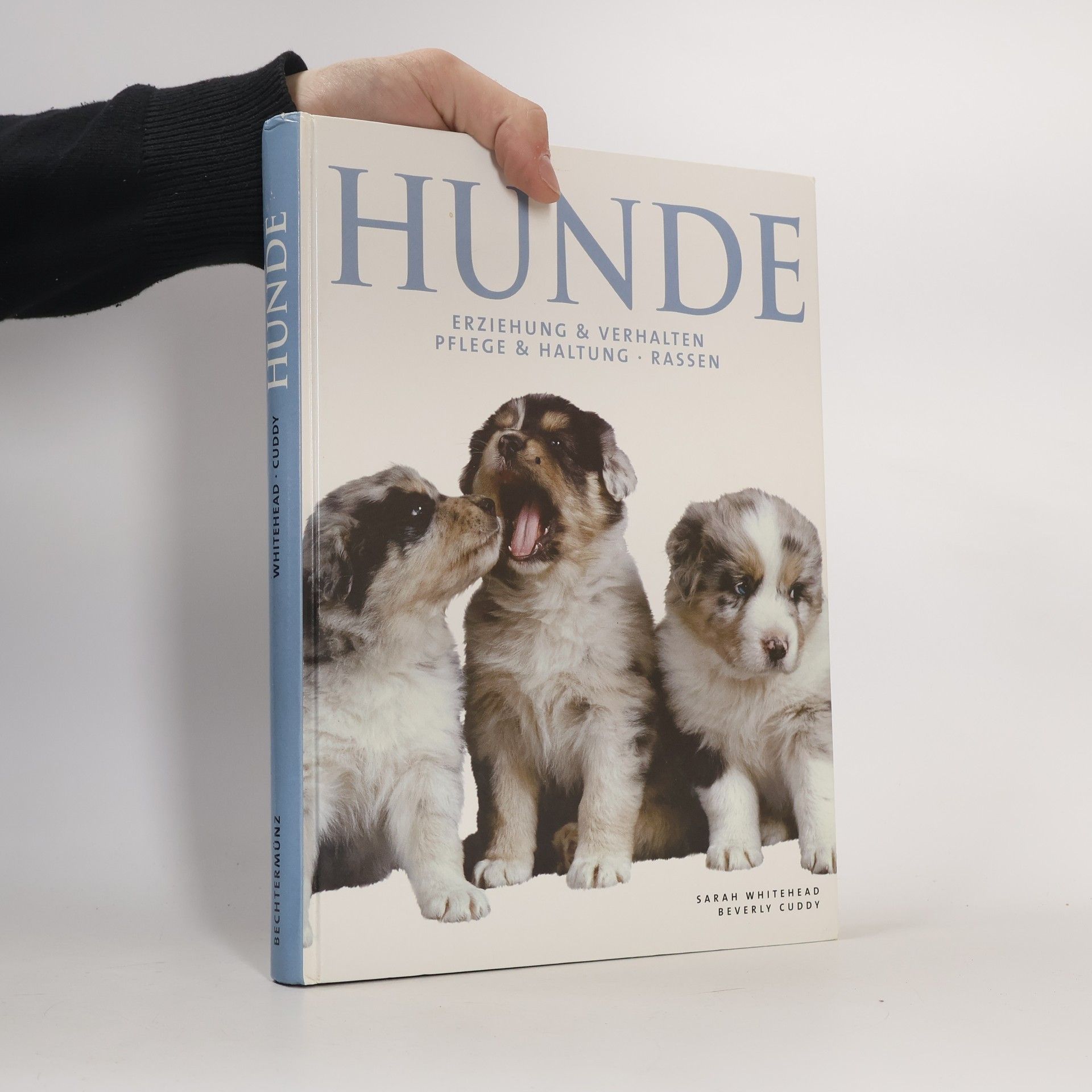 Sarah Whitehead Hunde