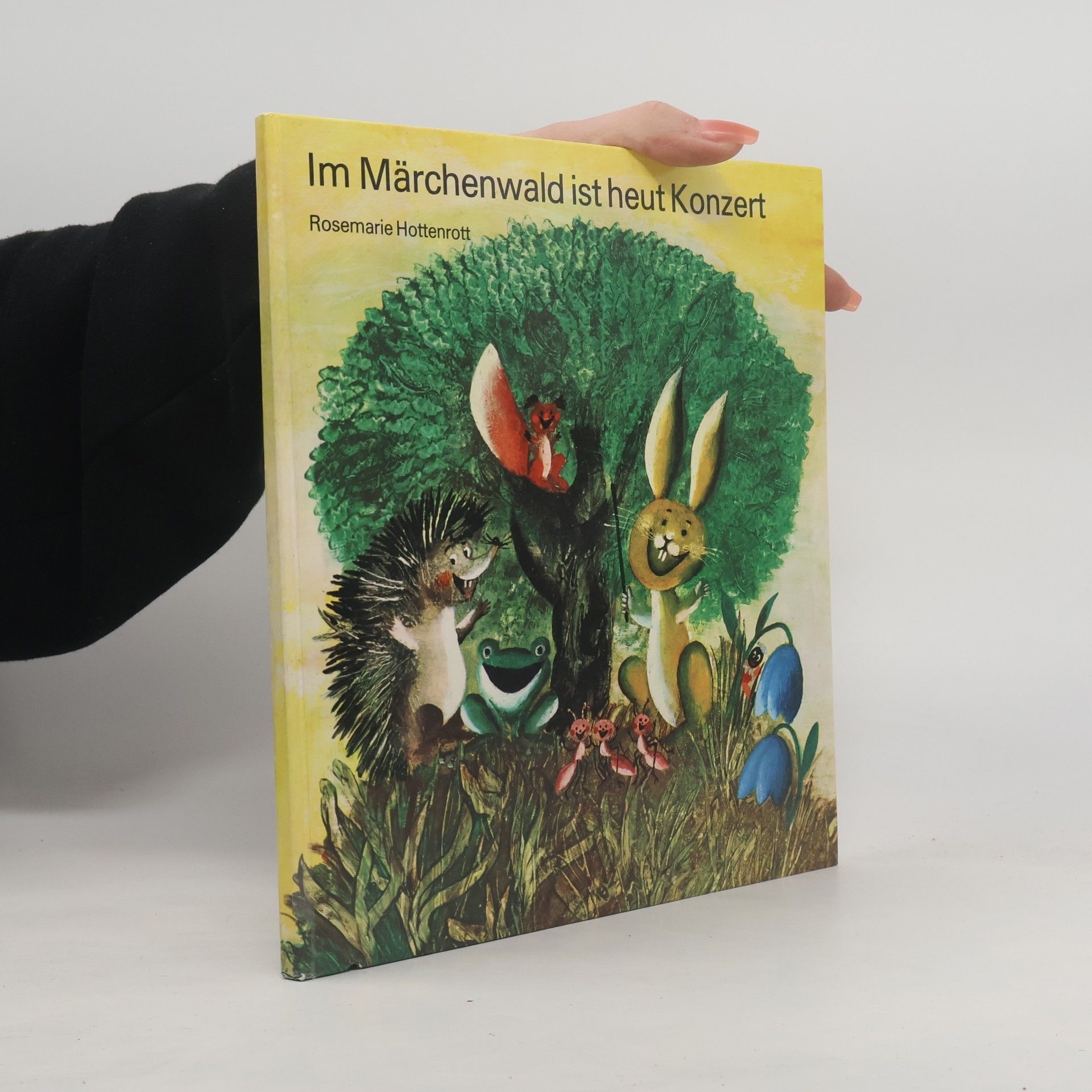 Rosemarie Hottenrott Im Märchenwald ist heut Konzert