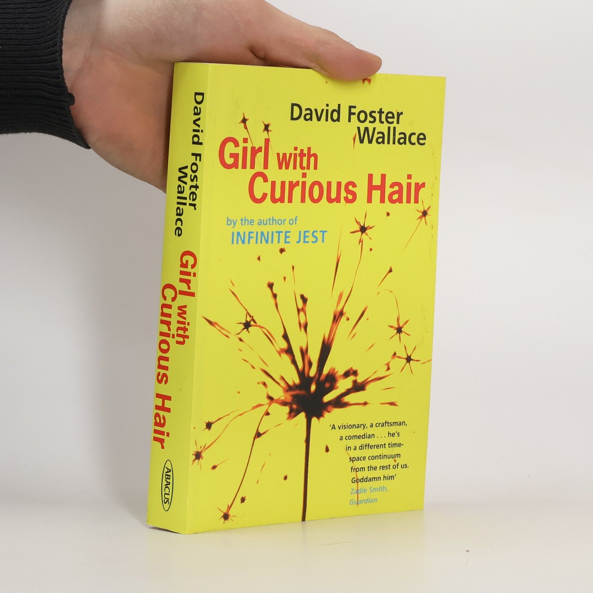 David Foster Wallace Girl with Curious Hair
