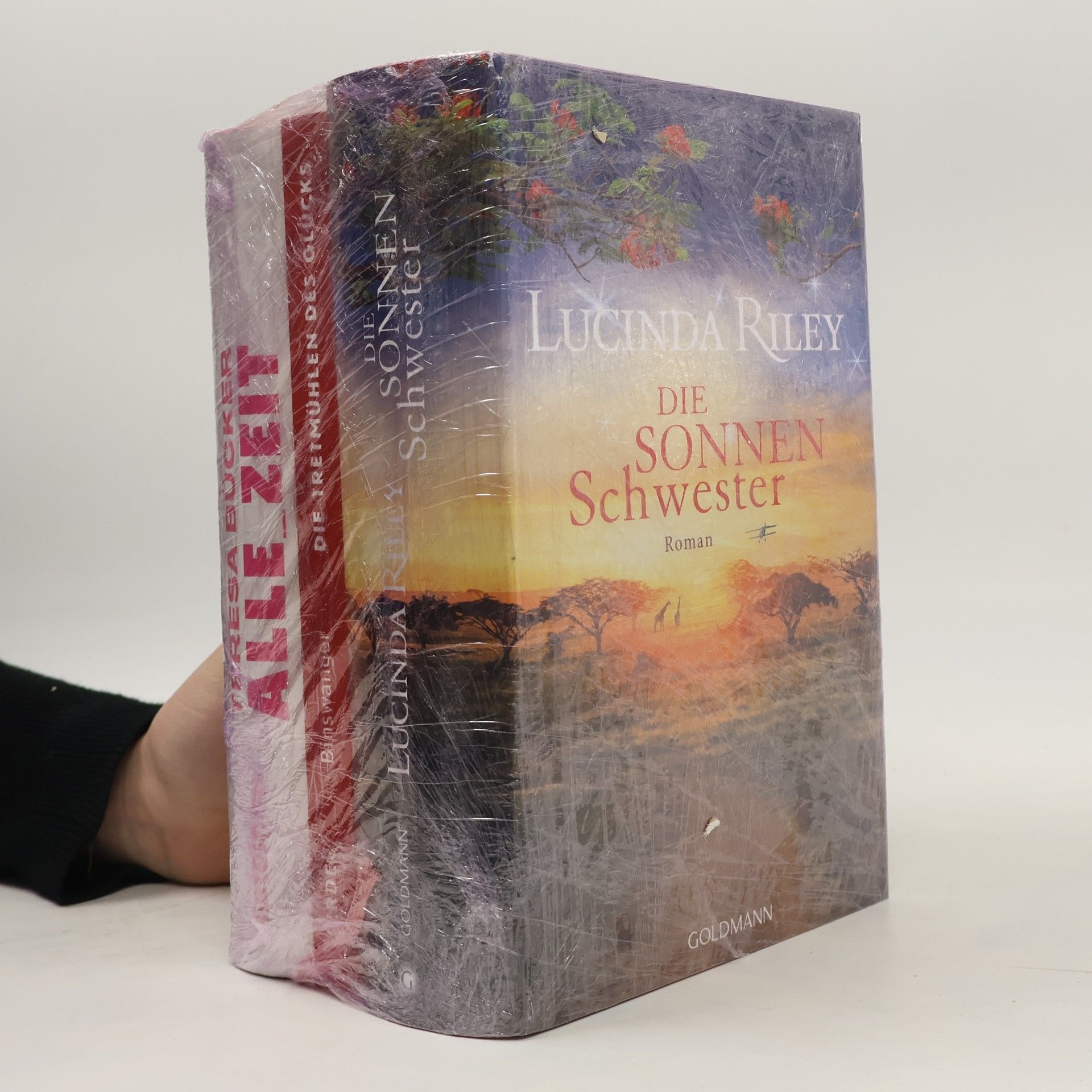 Teresa Bücker Alle_Zeit