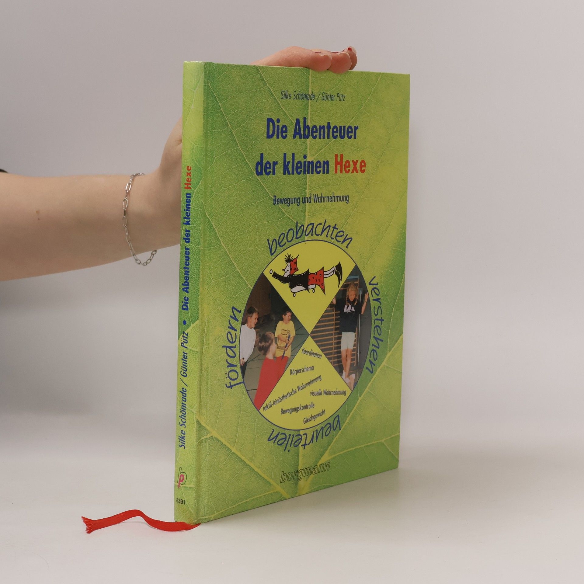 Silke Schönrade Die Abenteuer der kleinen Hexe