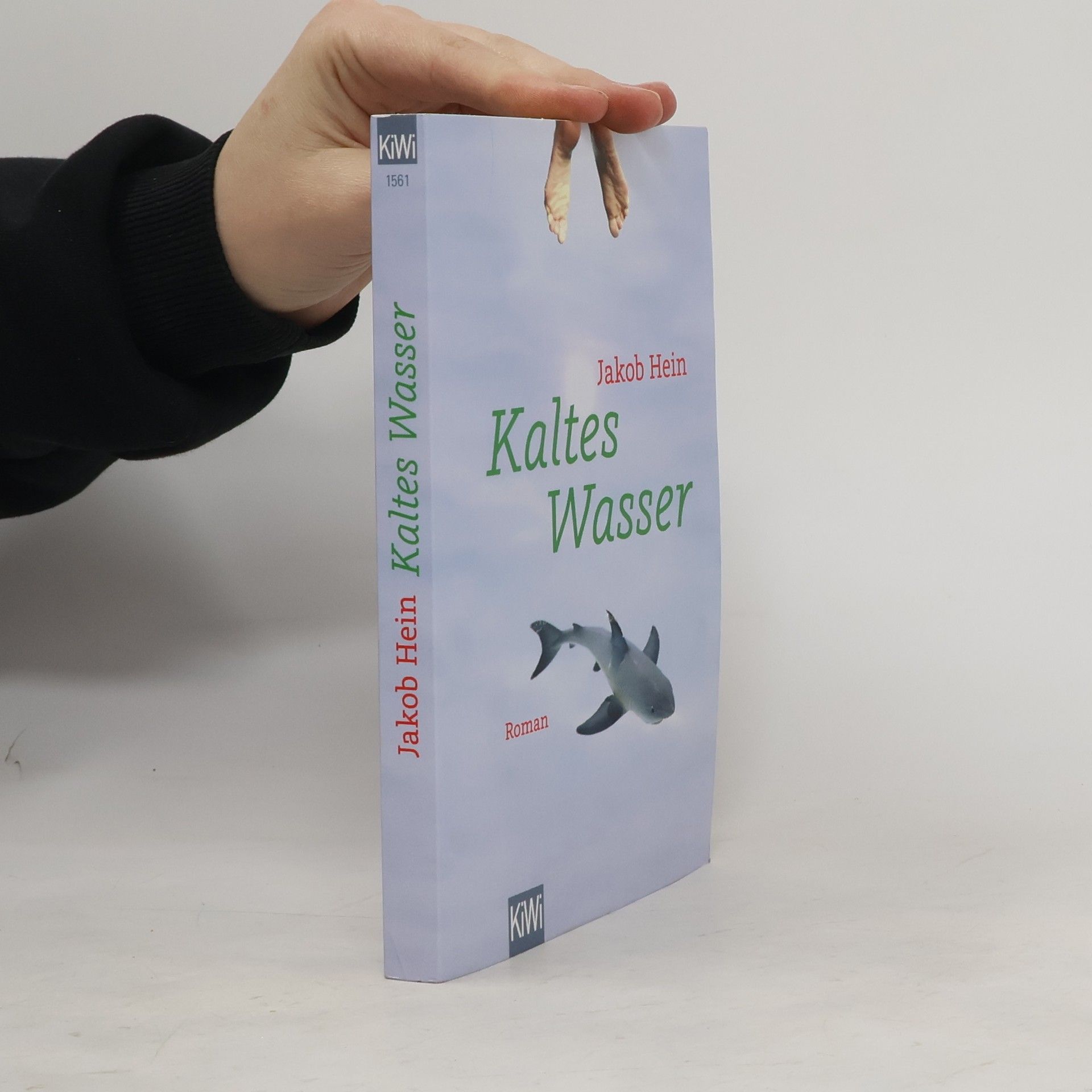 Jakob Hein Kaltes Wasser