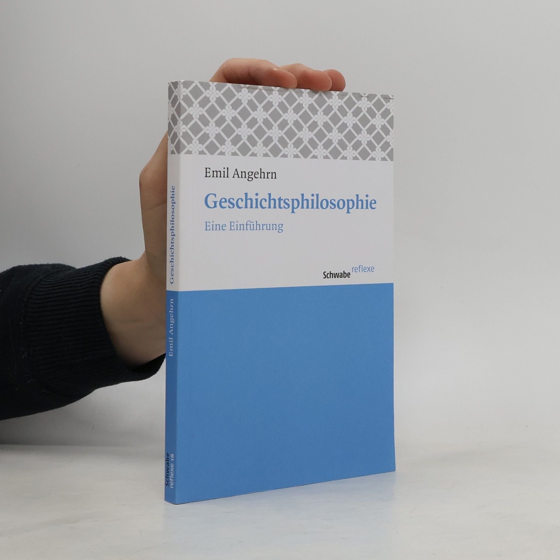 Emil Angehrn Schwabe Reflexe - 18: Geschichtsphilosophie