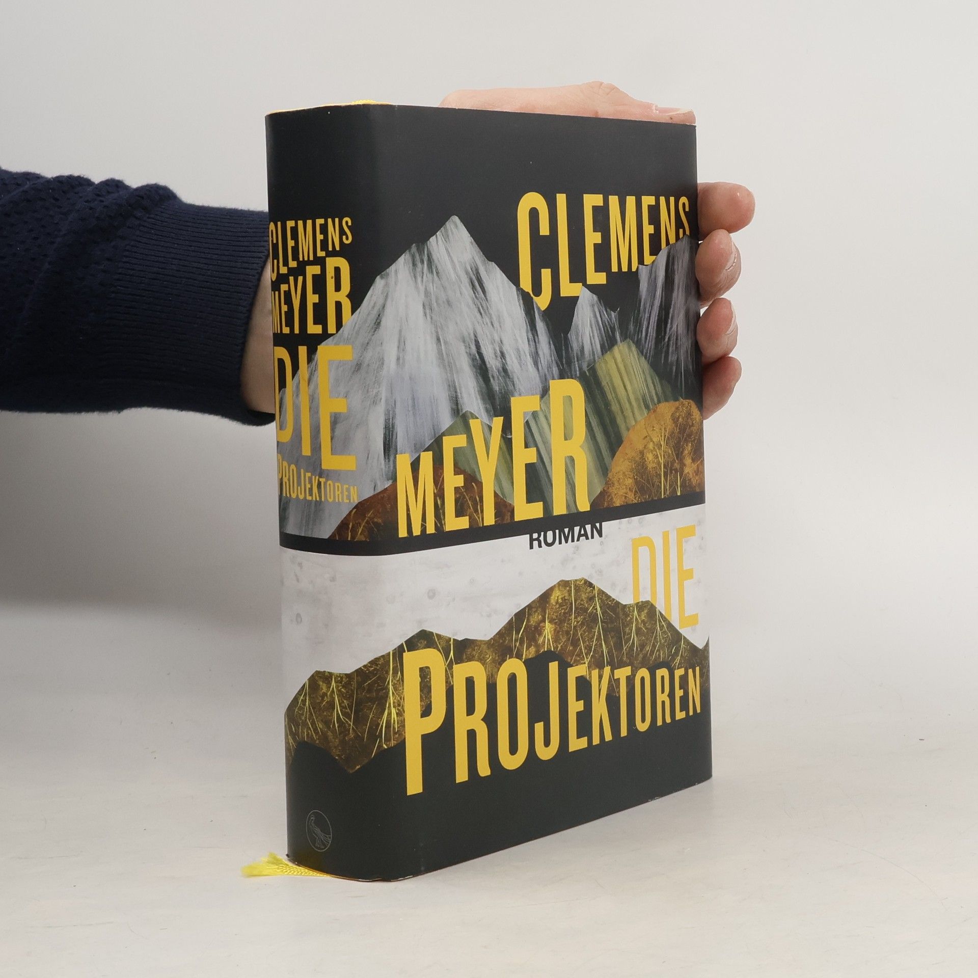 Clemens Meyer Die Projektoren