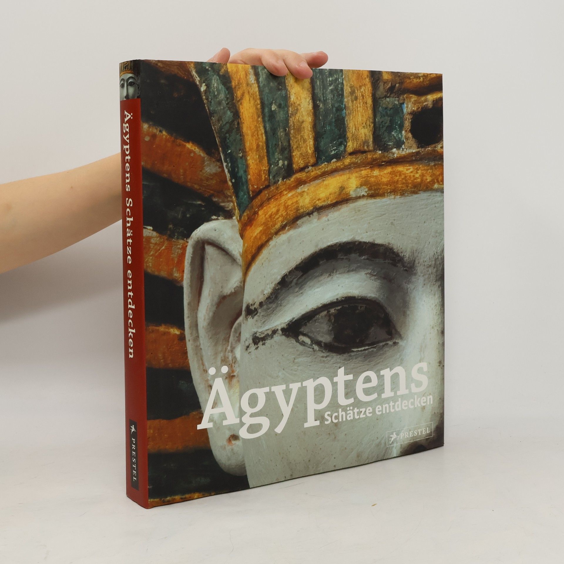 Simone Heimann Ägyptens Schätze entdecken