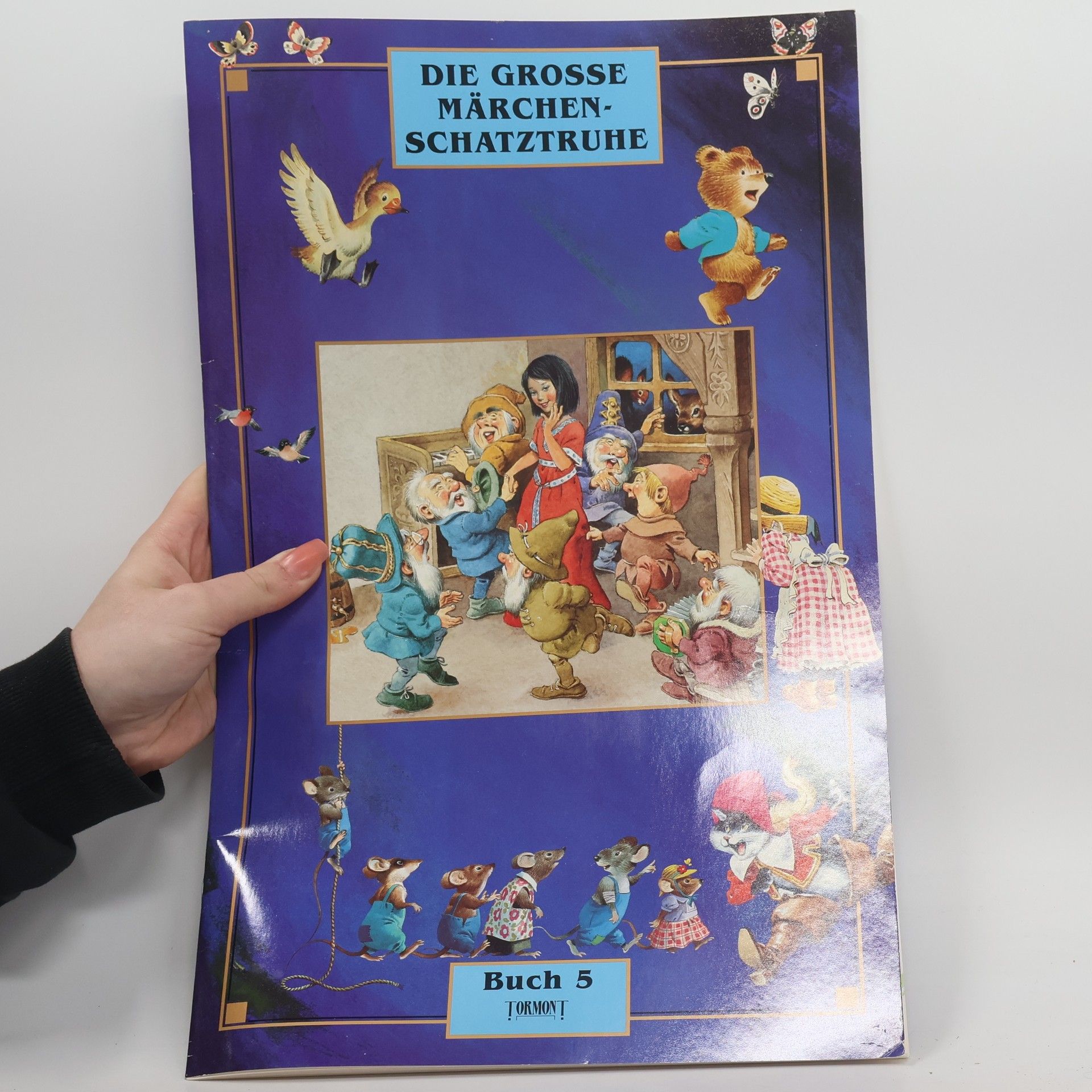 Autorenkollektiv Die grosse Märchenschatztruhe V.