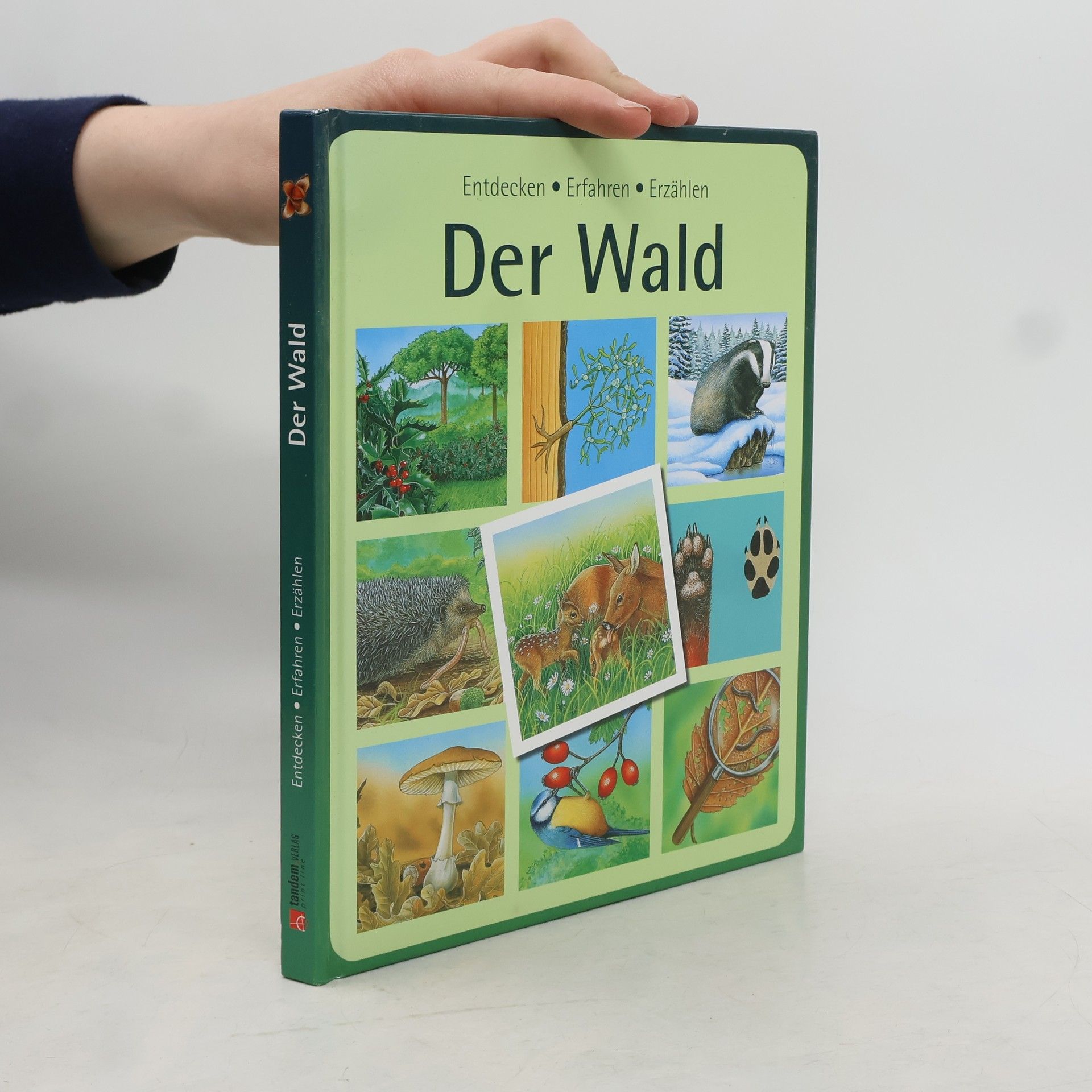 Various authors Der Wald