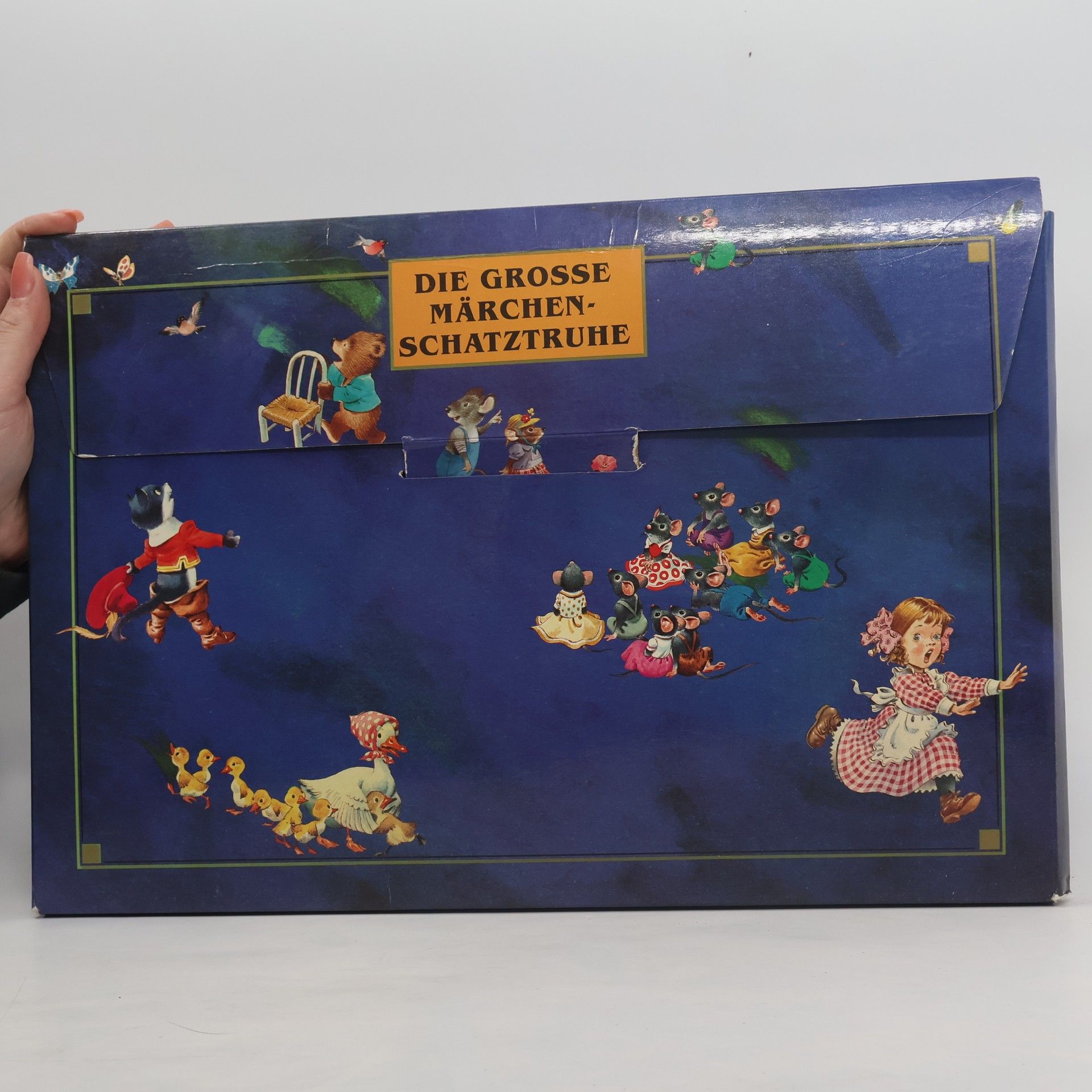 Peter Holeinone Die Grosse Märchen-Schatztruhe